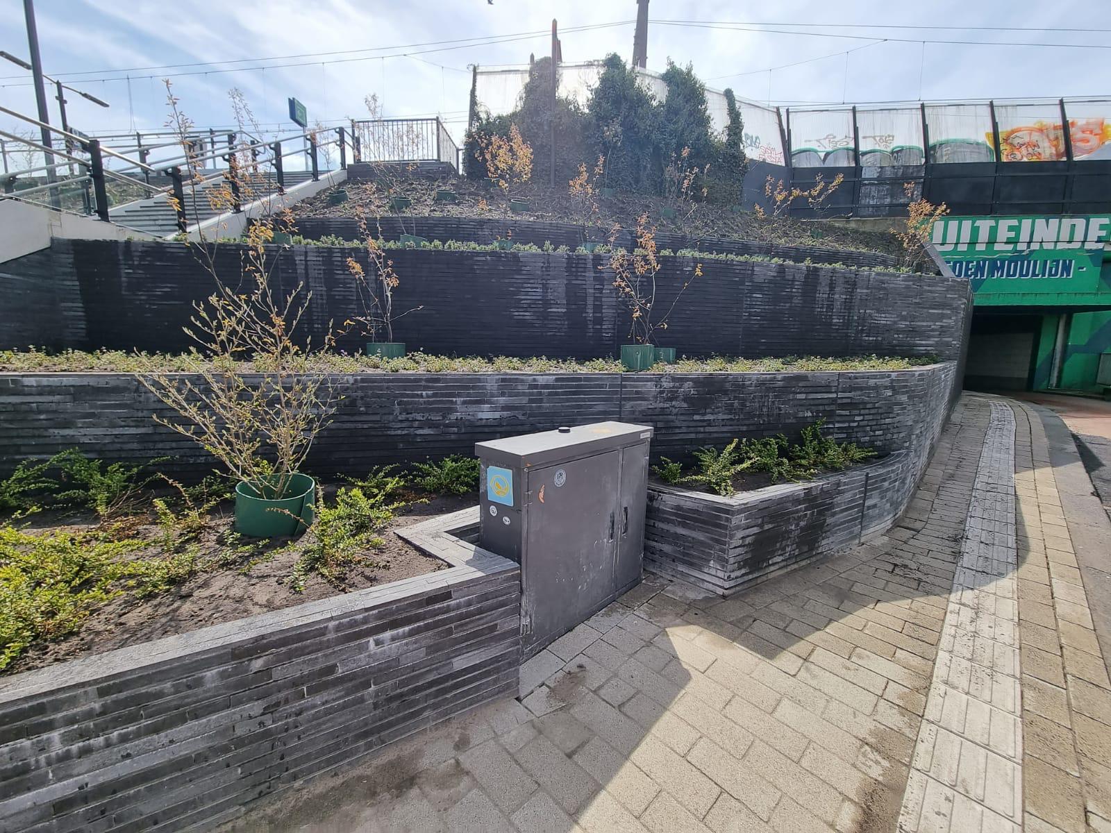 De plantenbakken bij station Rotterdam Noord zijn gevuld.