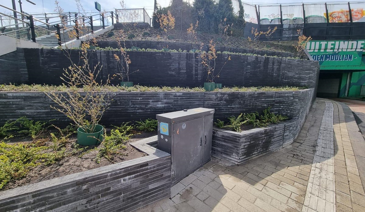 De plantenbakken bij station Rotterdam Noord zijn gevuld.