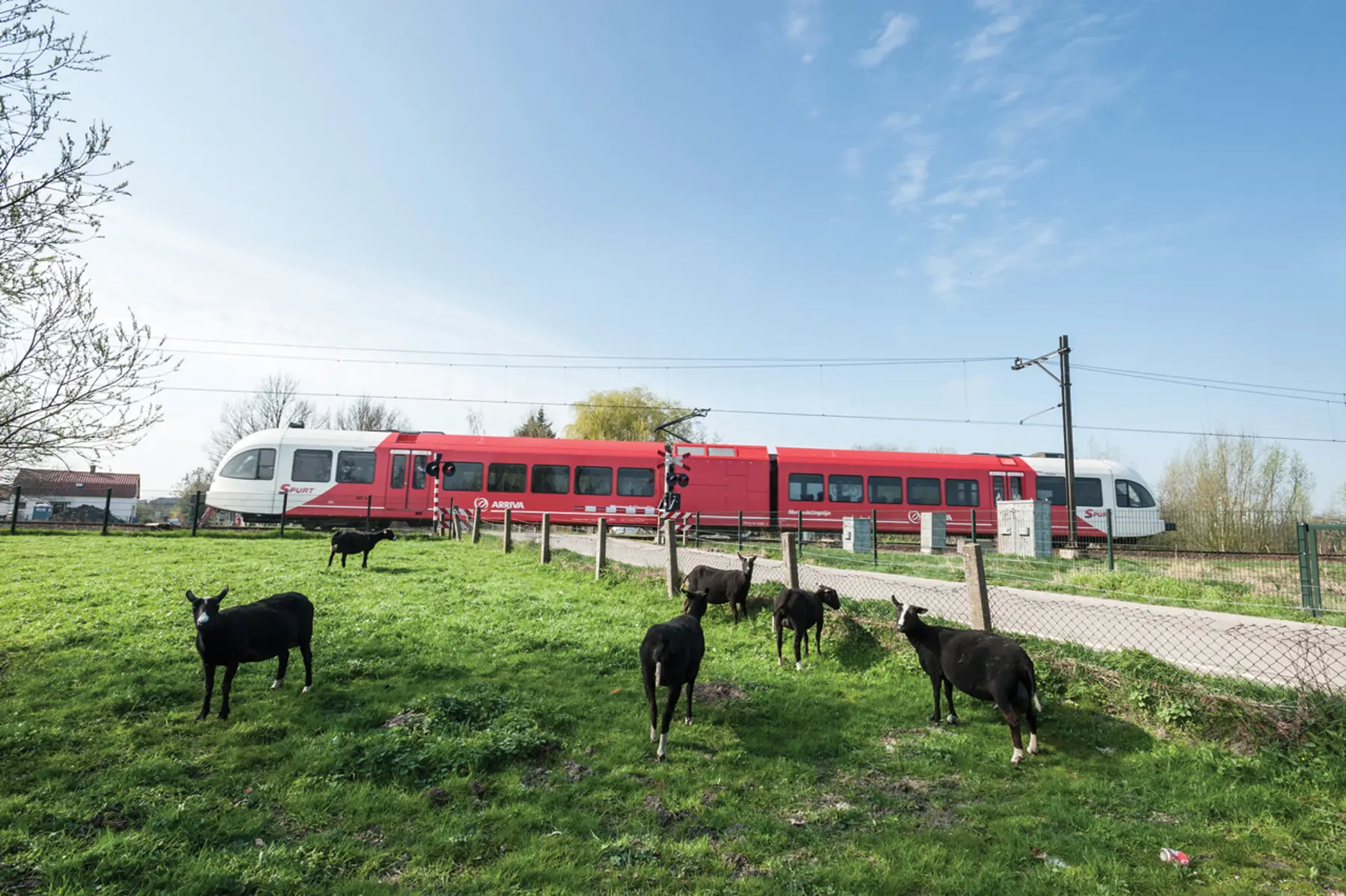 Treinstel op Merwede-Lingelijn