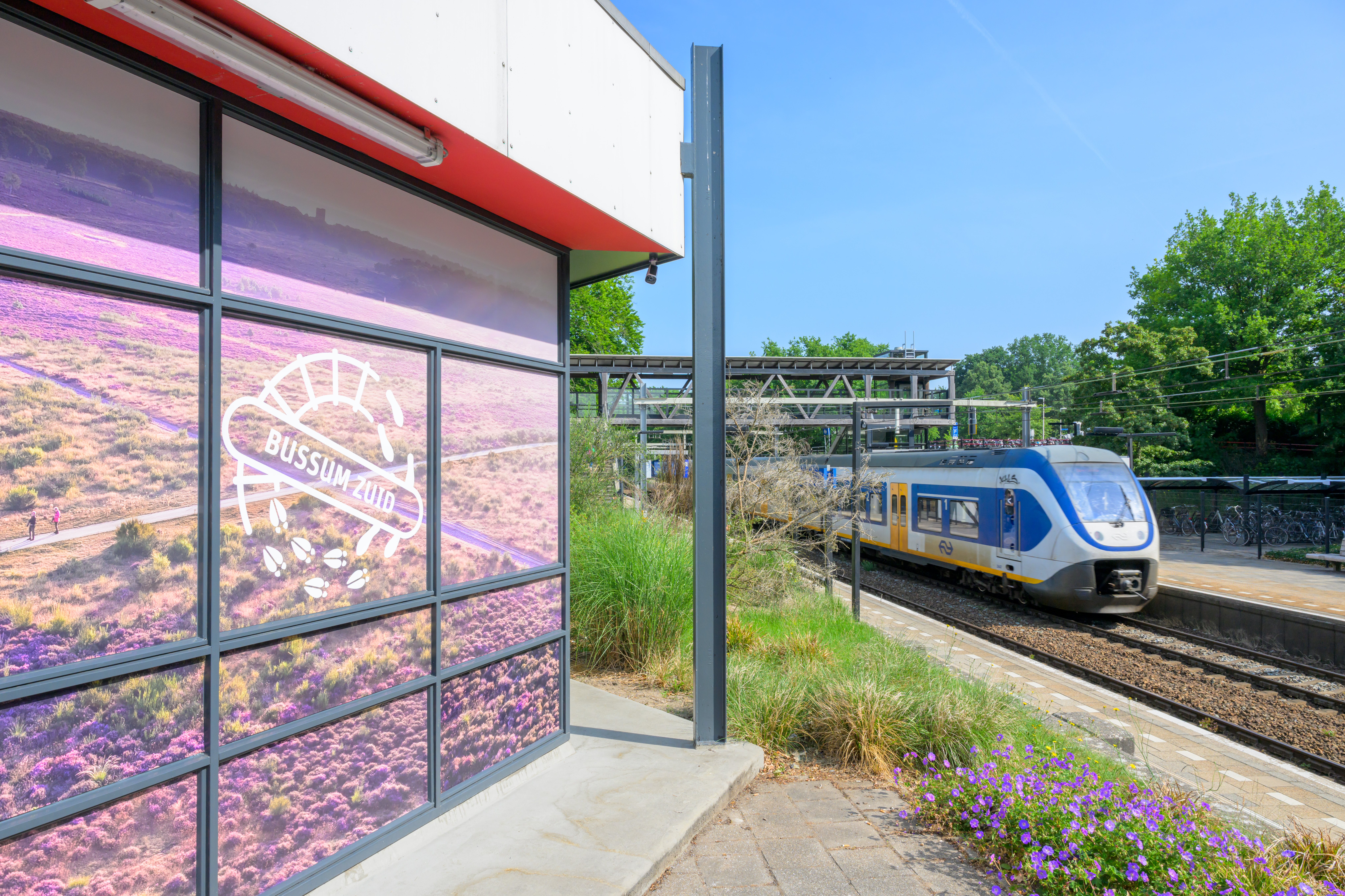 Als je op station Bussum-Zuid zal het natuurgebied je ongetwijfeld opvallen