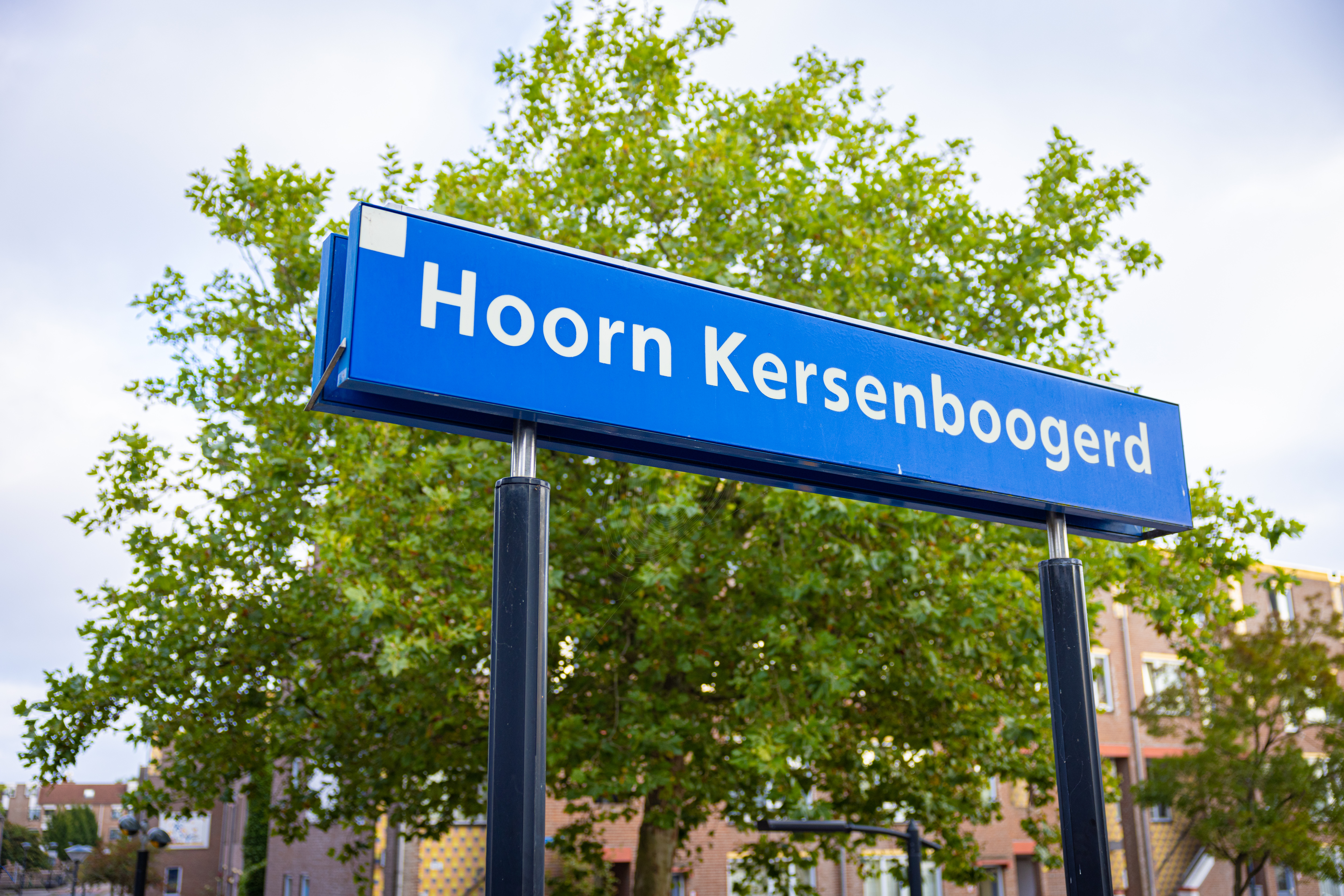 Vernieuwing Hoorn Kersenboogerd