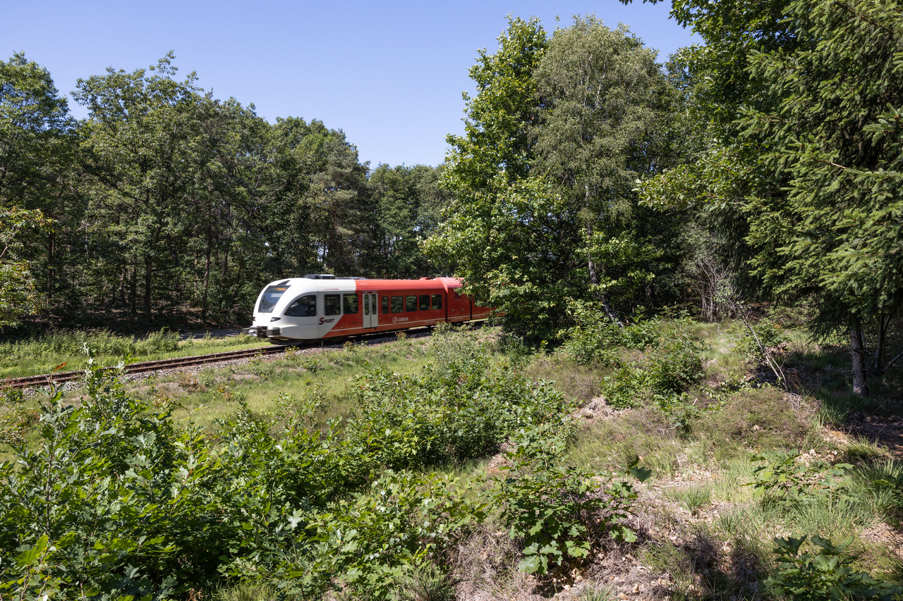 Het onderhoud van bermen is cruciaal voor de spoorwegveiligheid