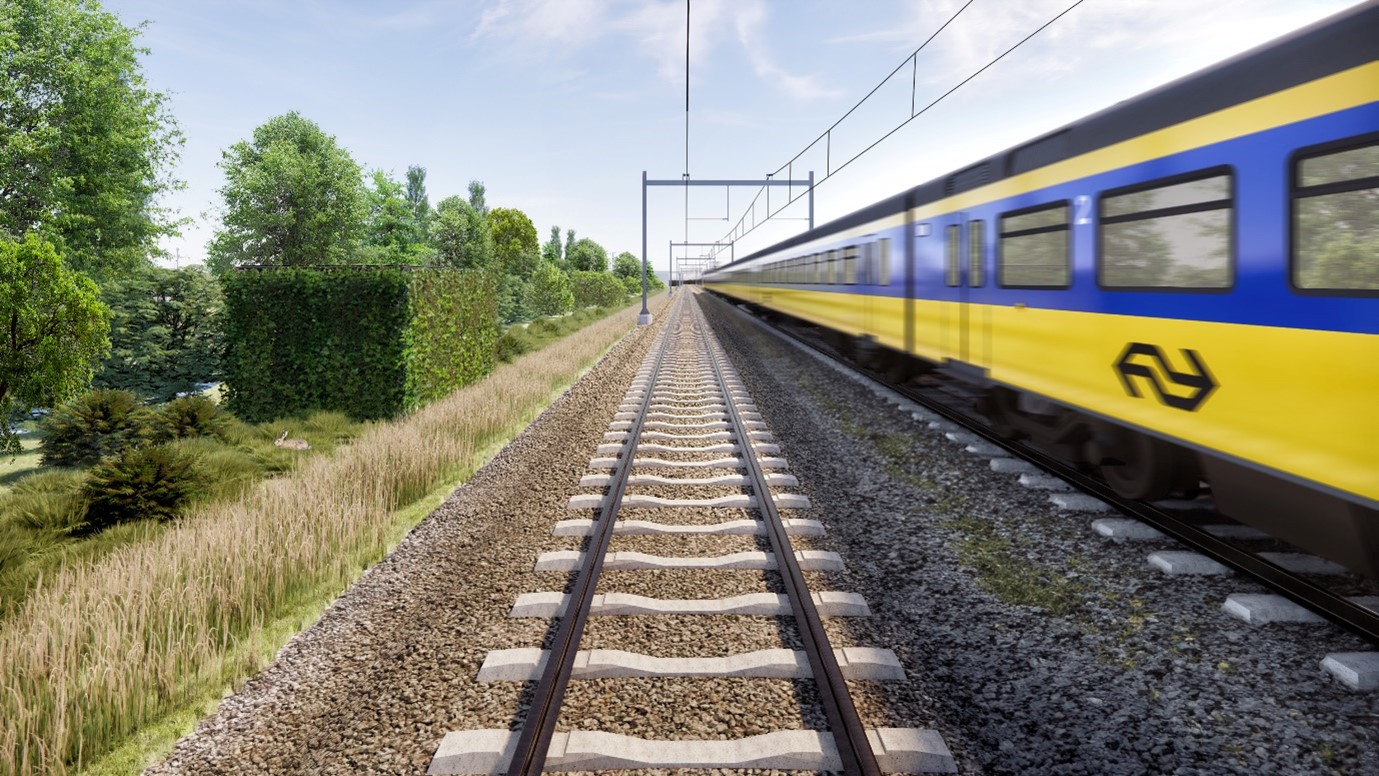 De gevelplanten zorgen voor verkoeling, vullen de plaatselijke ecologie aan, en bieden vogels en insecten een schuil- en nestelplek