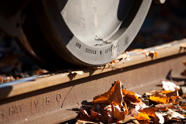 Treinwielen kunnen door bladeren op het spoor grip verliezen en doorslippen