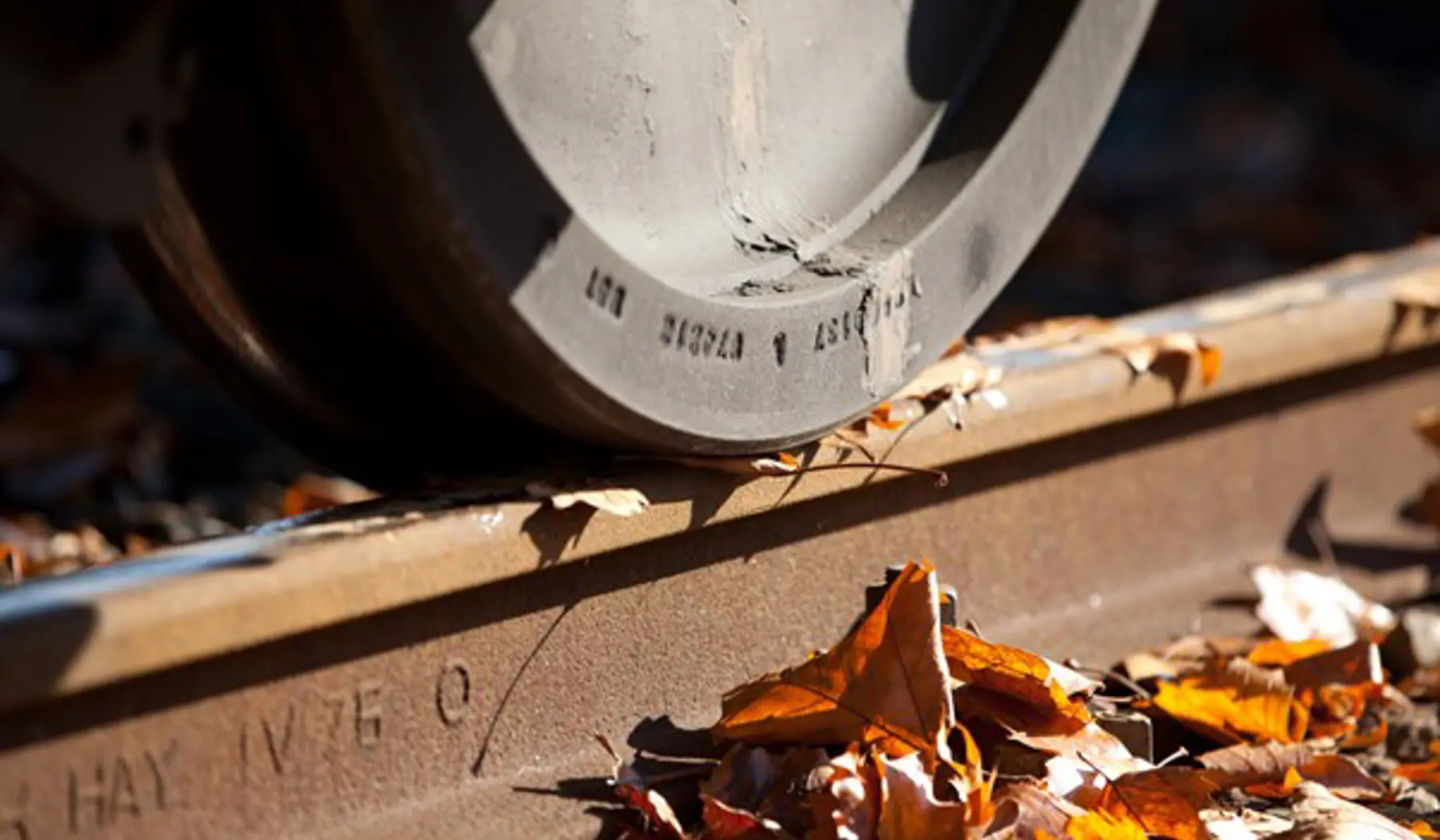 Treinwielen kunnen door bladeren op het spoor grip verliezen en doorslippen
