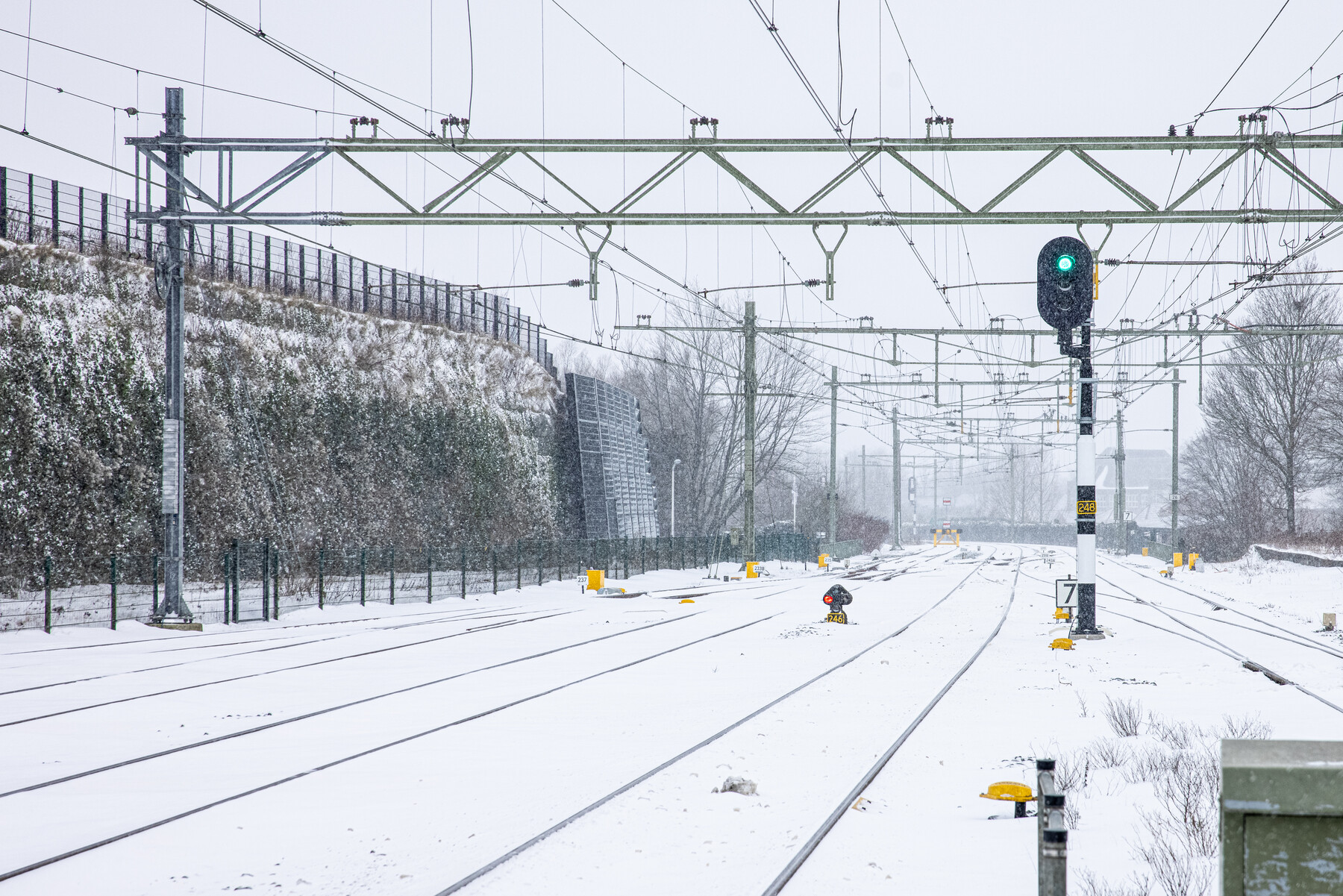 Sporen in de sneeuw bij Oldenzaal