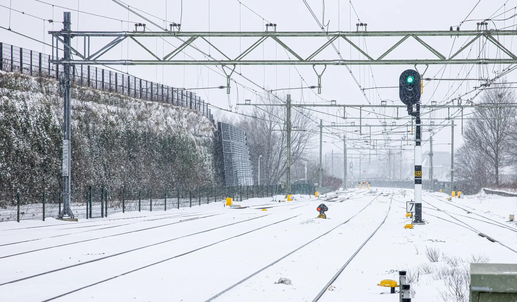 Sporen in de sneeuw bij Oldenzaal