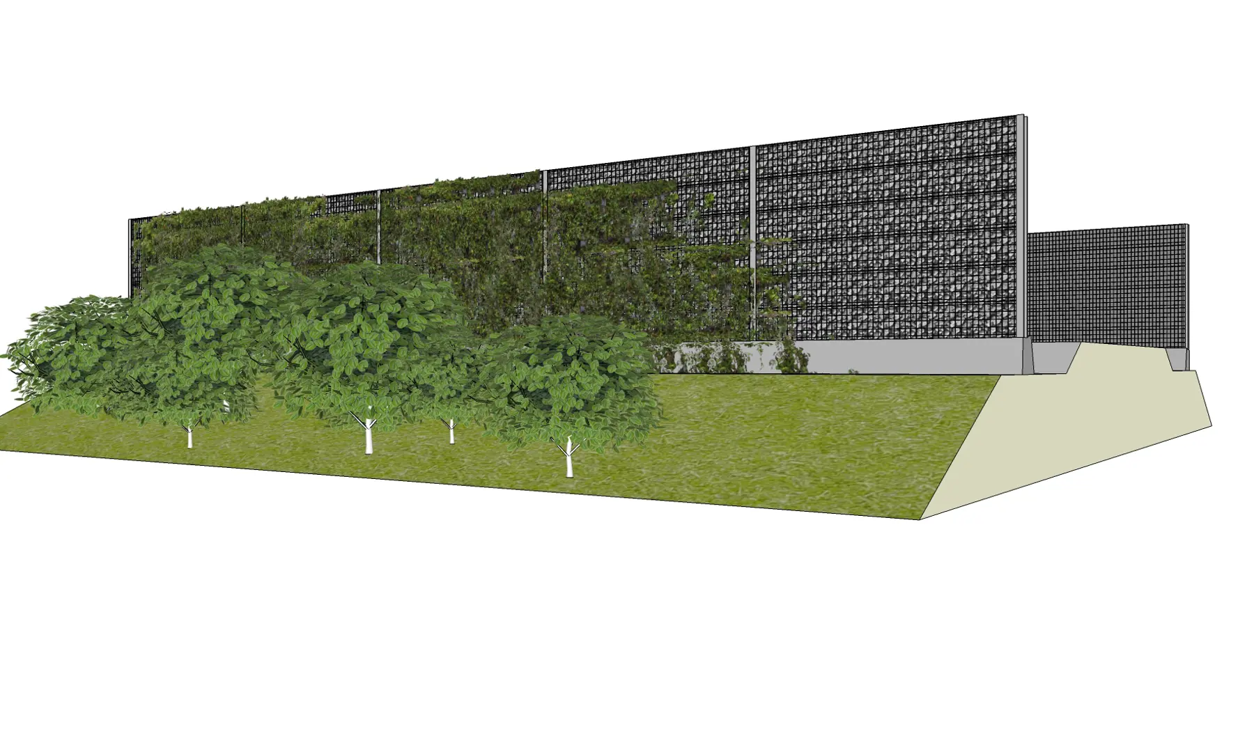 Cassettescherm met schanskorf en klim-en struikbeplanting