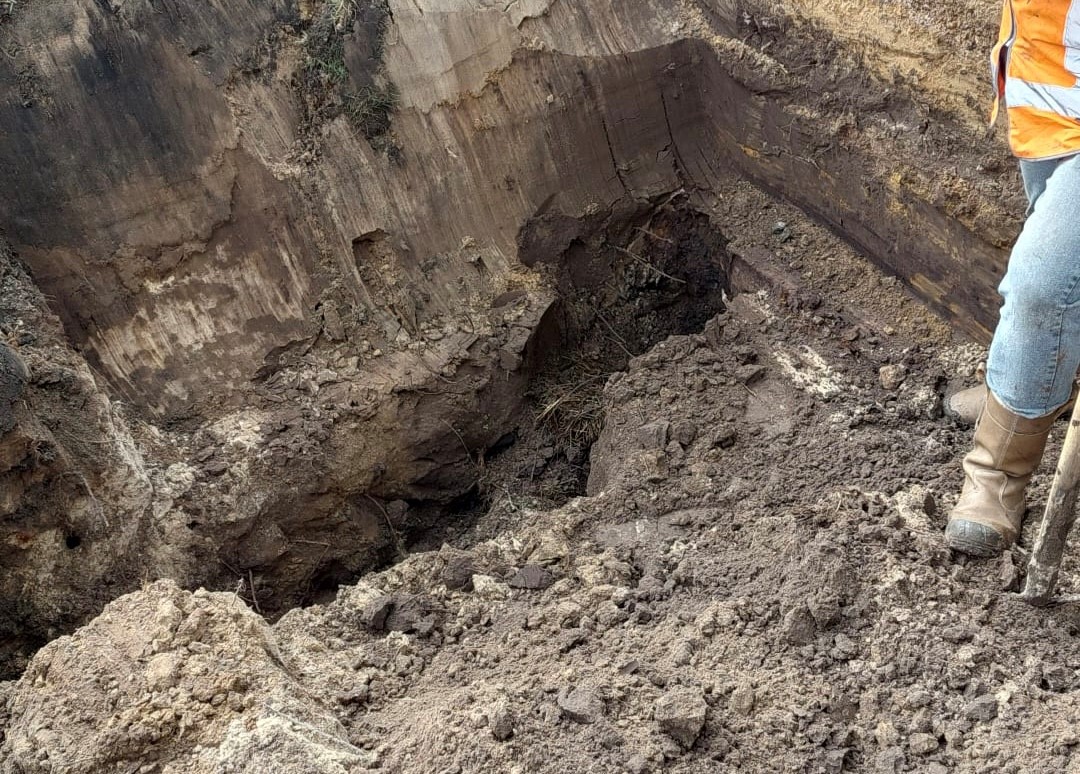 Deze dassenkamer ligt precies onder de rand van het spoorbed met spoorgrind. Dit toont de ernst van de situatie