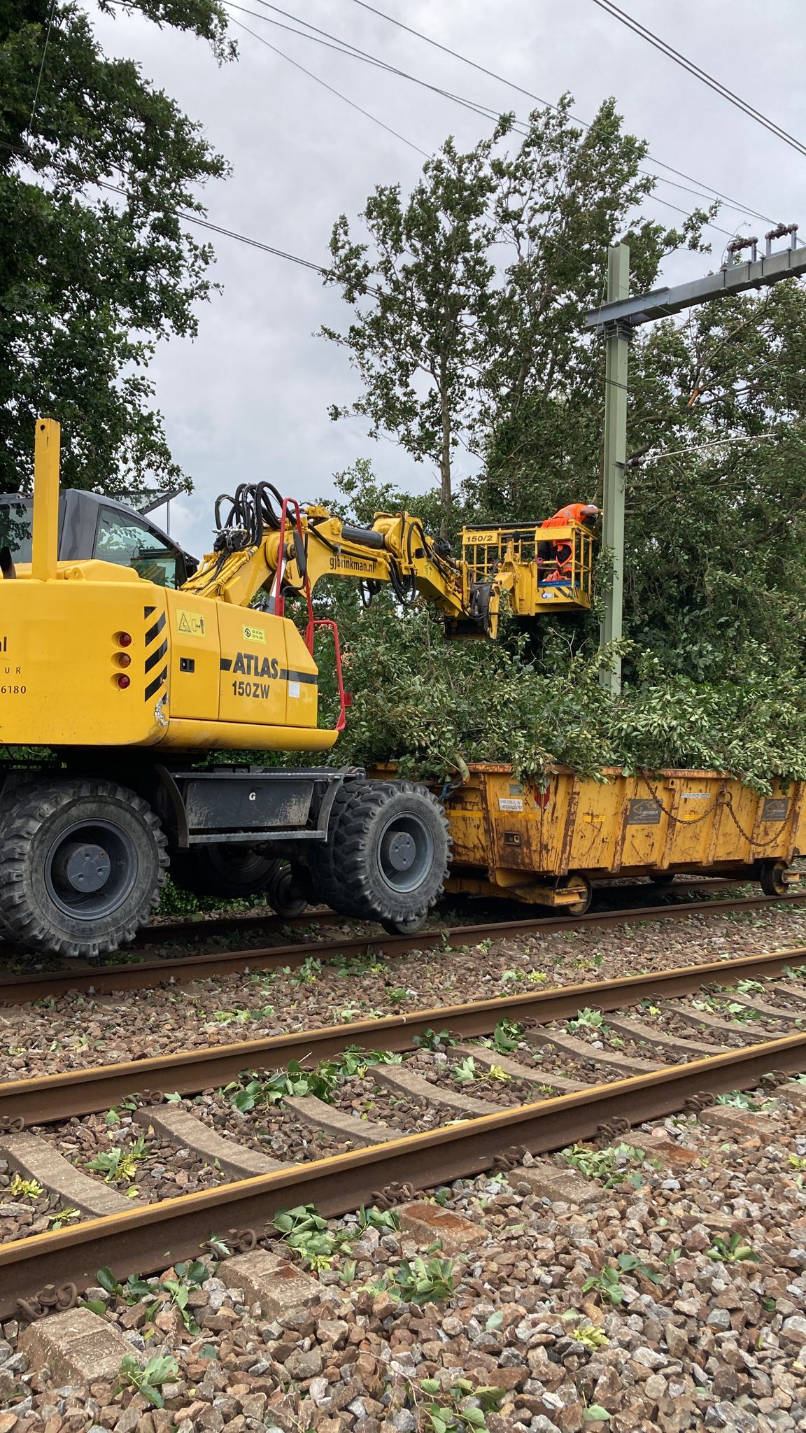 Bomen en takken worden verwijderd tussen Leiden en Haarlem