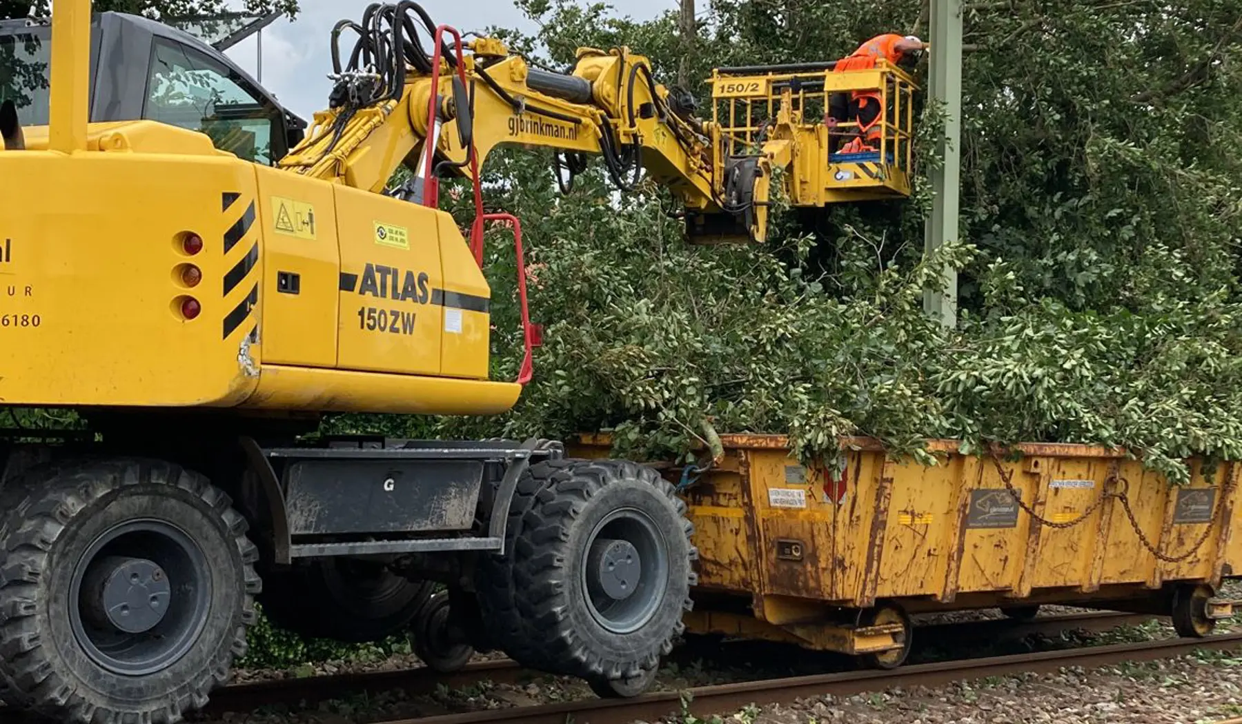 Bomen en takken worden verwijderd tussen Leiden en Haarlem