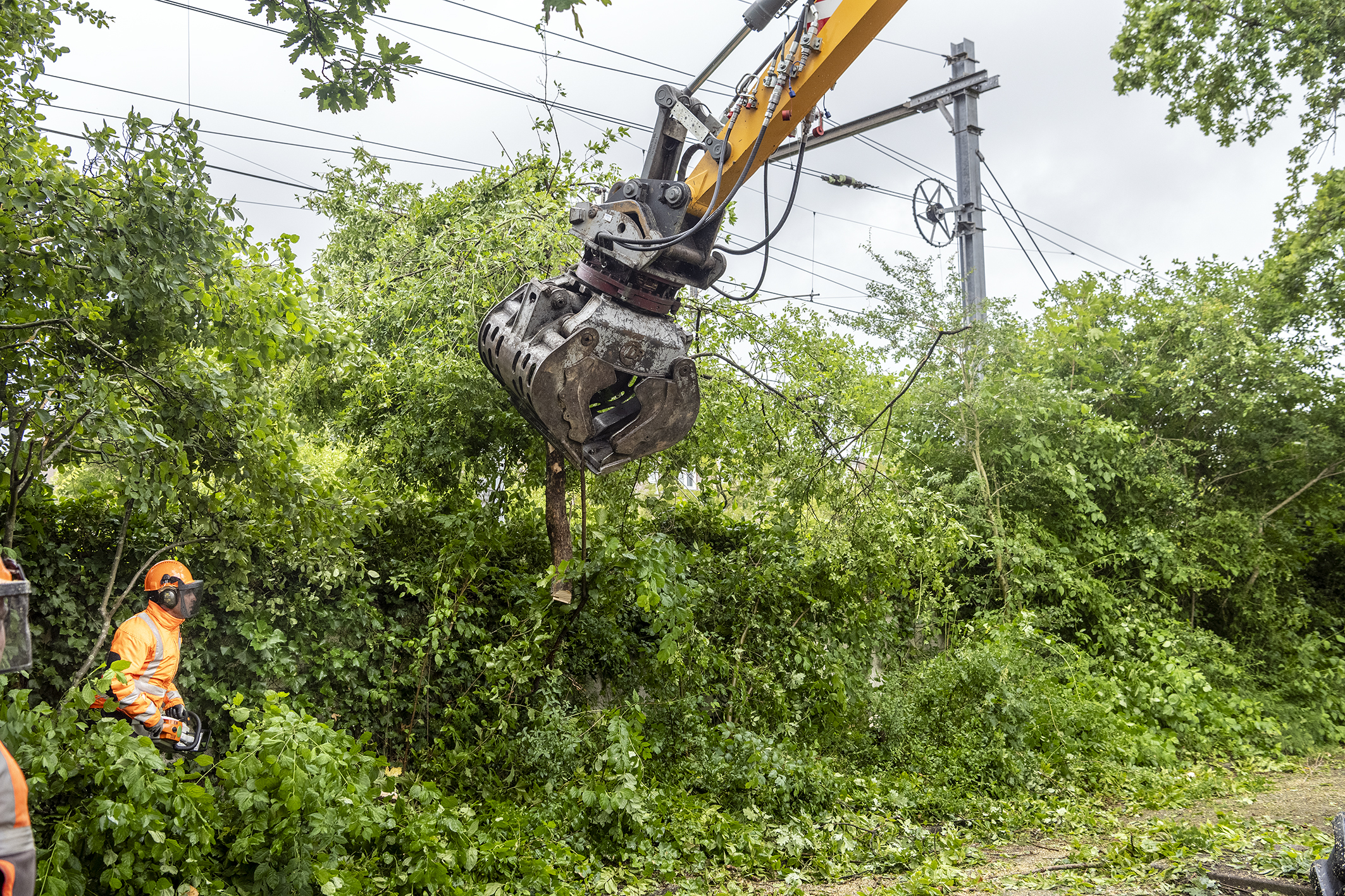 Takken in de bovenleidingen in Hoorn