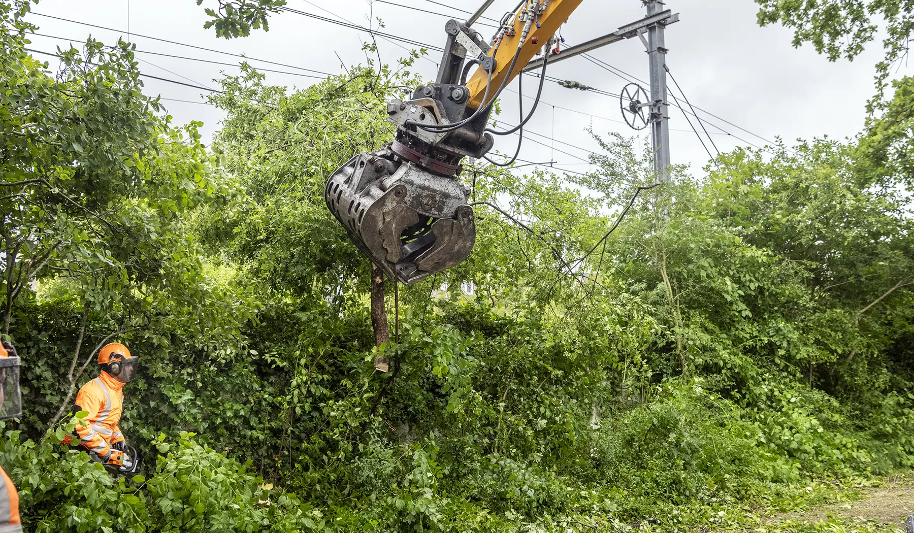 Takken in de bovenleidingen in Hoorn