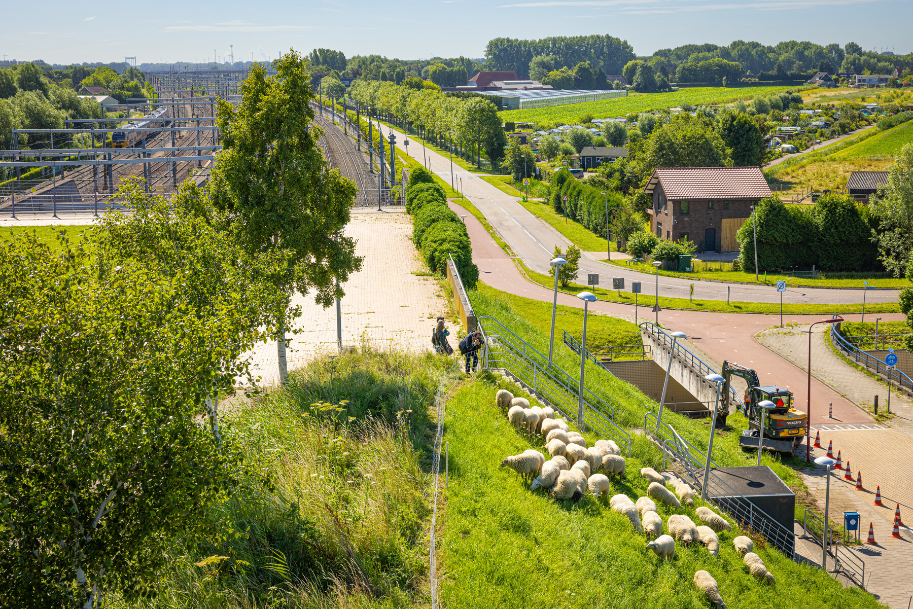 Voorlopig is dit het nieuwe onderkomen van de schapen