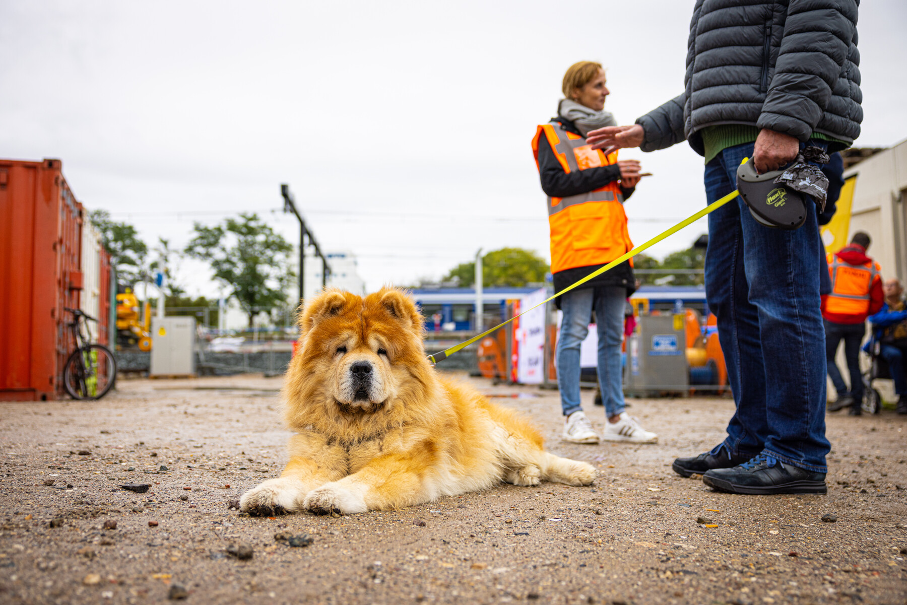 Hond op bezoek bij burendag