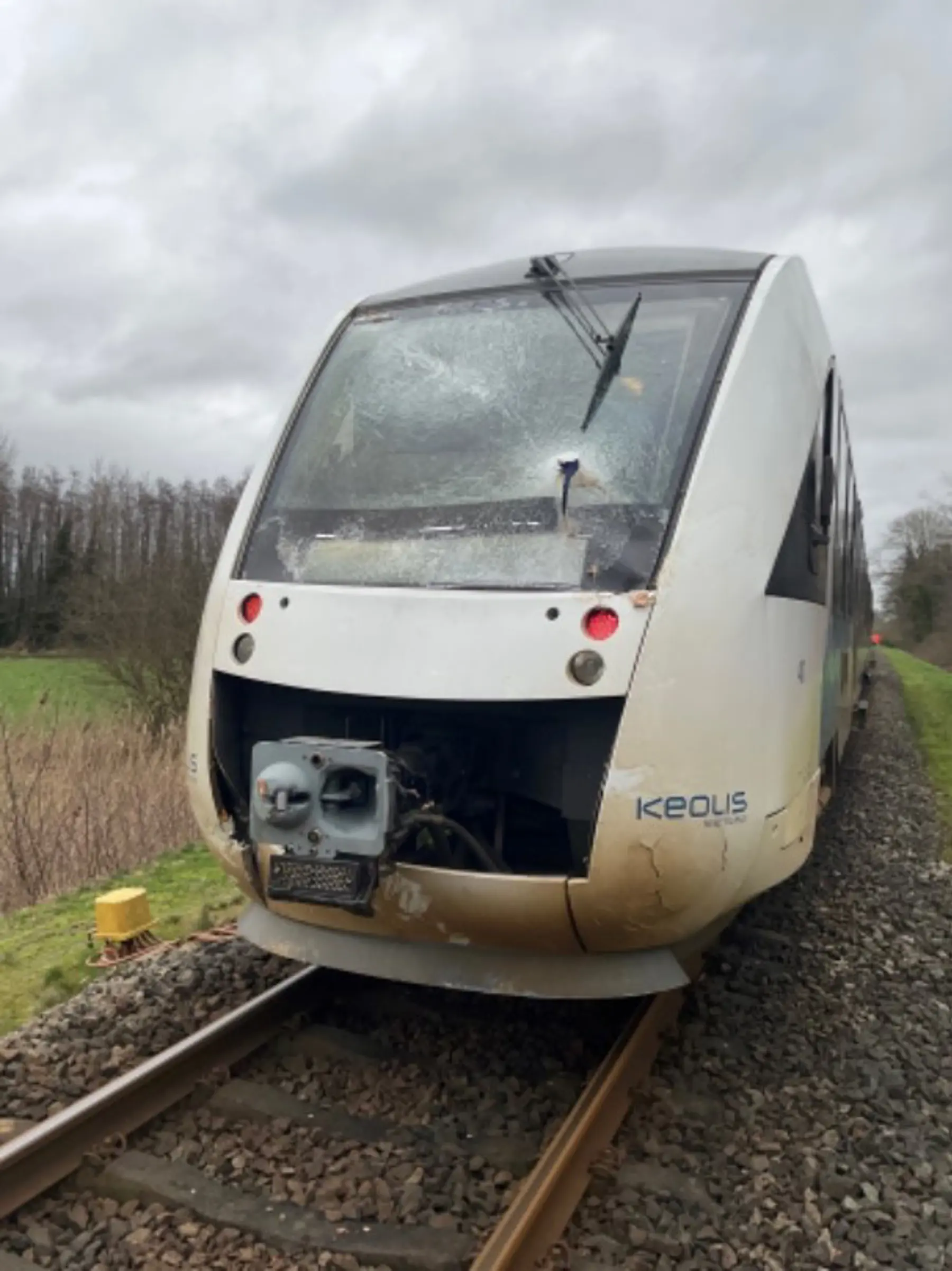 De trein die tegen de omgewaaide boom reed