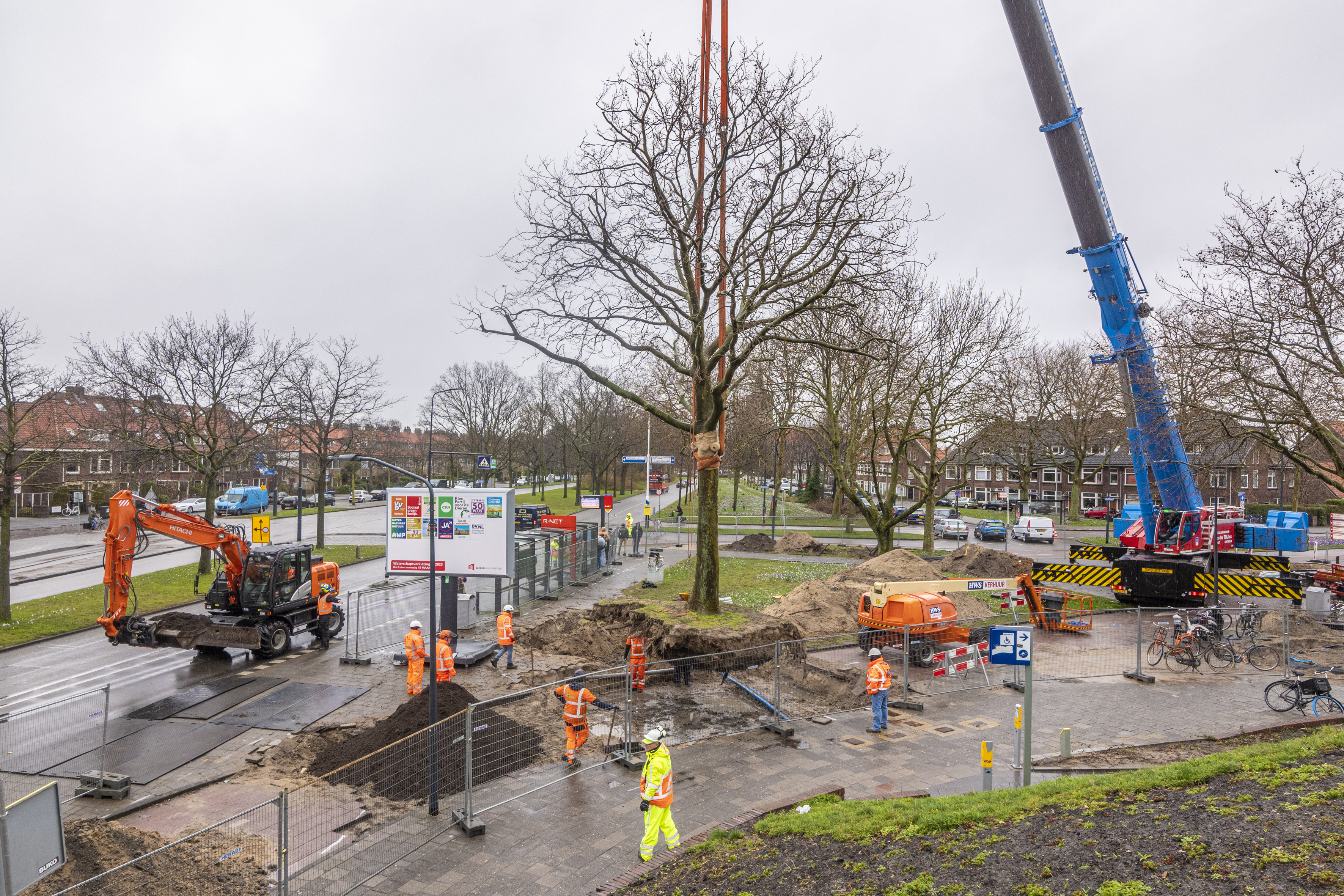 De boom is onderweg