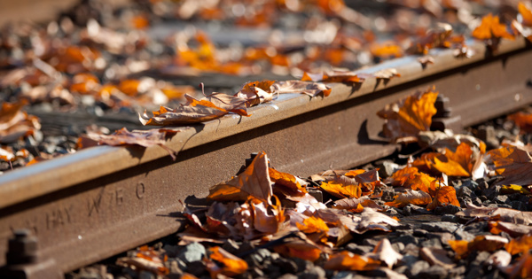 Treinverkeer naar Utrecht Maliebaan tijdelijk stilgelegd