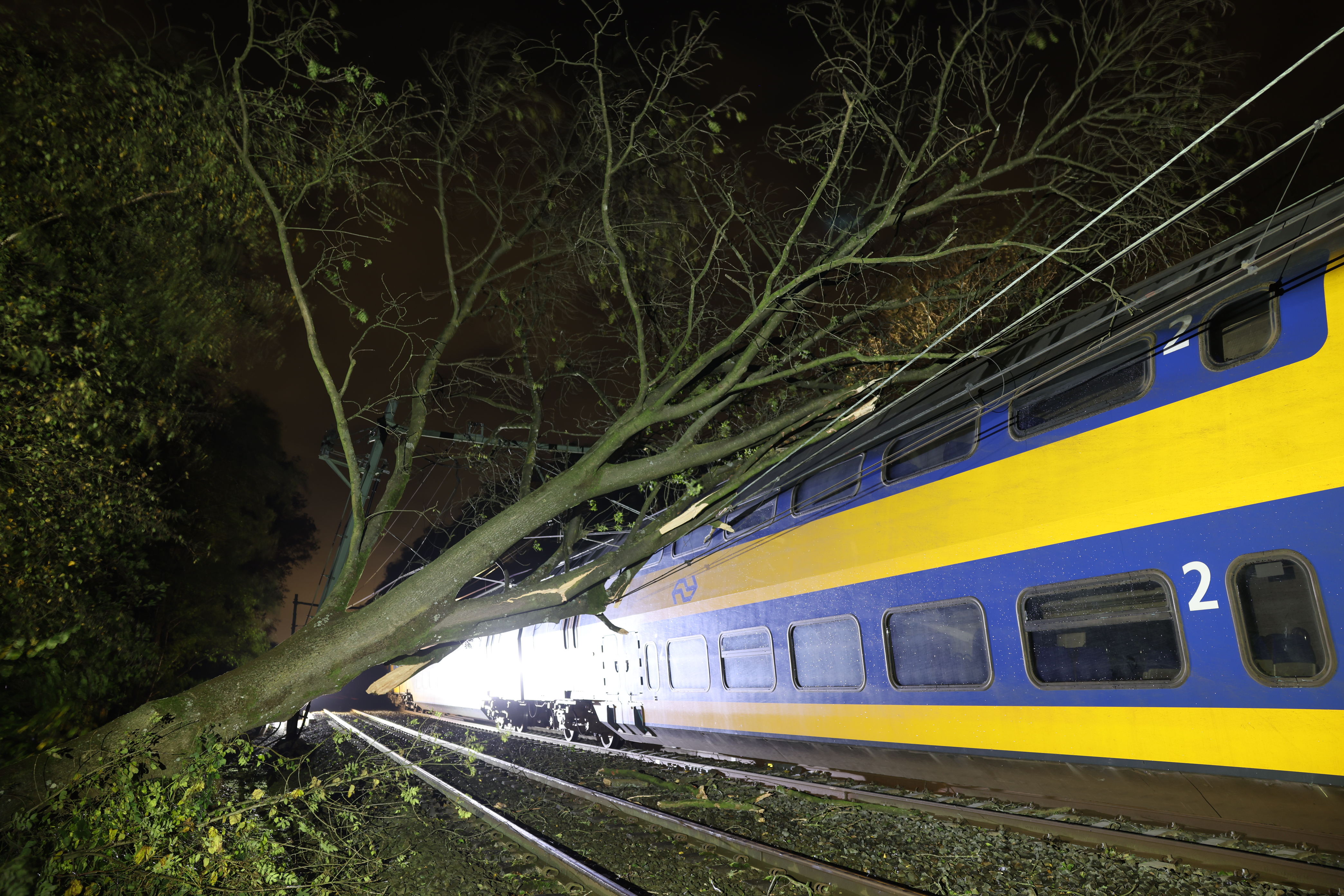 In het Limburgse Haelen is een trein tegen een boom gereden die op het spoor is gevallen. 