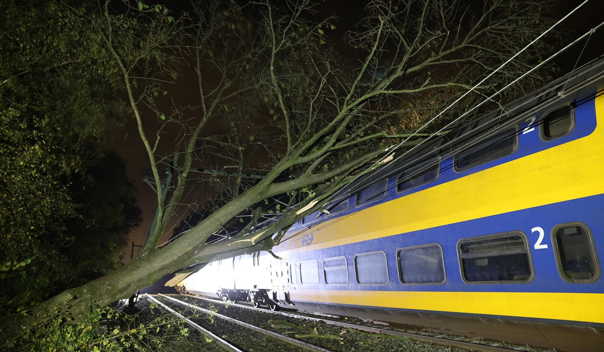 In het Limburgse Haelen is een trein tegen een boom gereden die op het spoor is gevallen. 