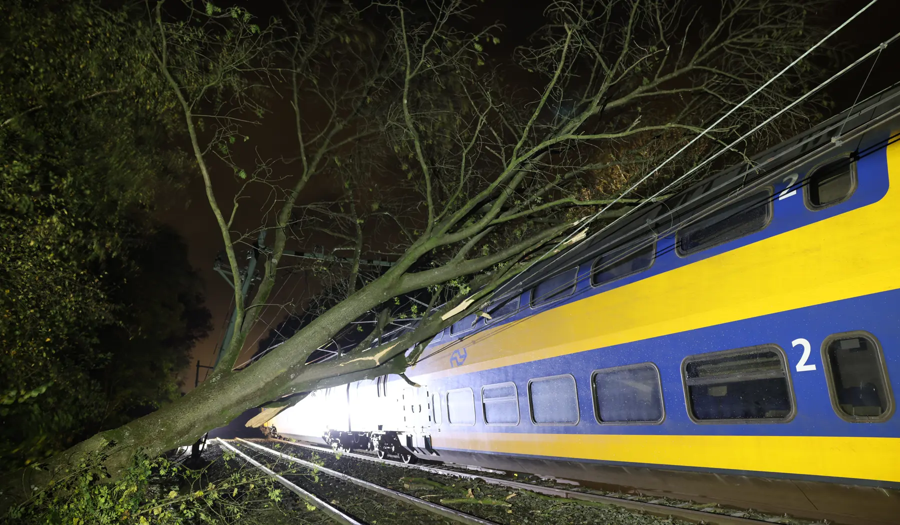 In het Limburgse Haelen is een trein tegen een boom gereden die op het spoor is gevallen.