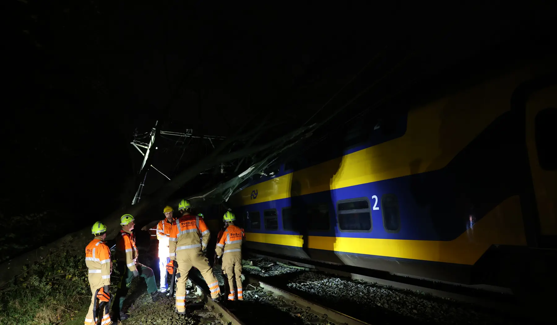 Vanavond worden in Haelen voorbereidingen getroffen om de boom te kappen.