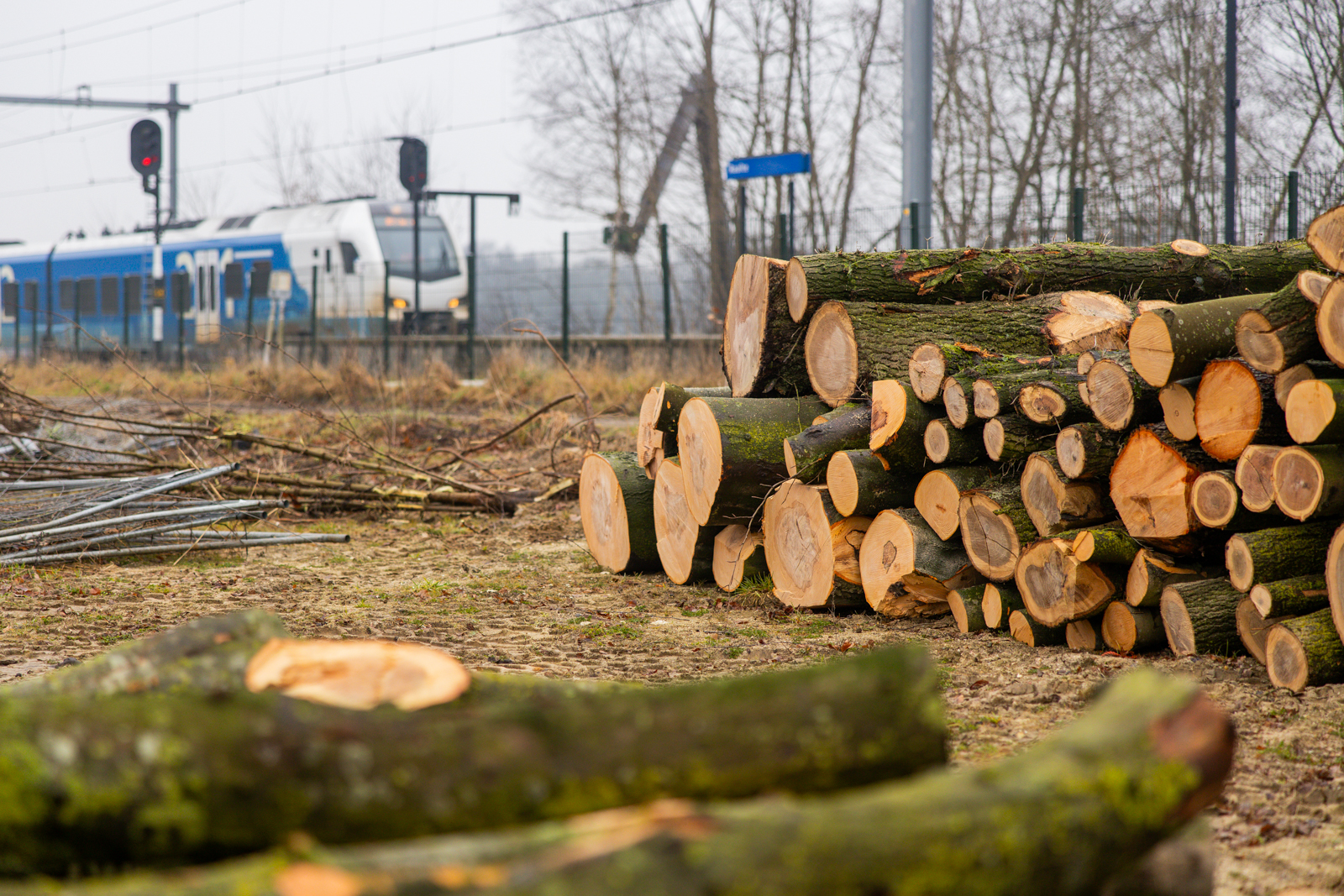Aan de zuidzijde van het station worden in februari en maart bomen gekapt
