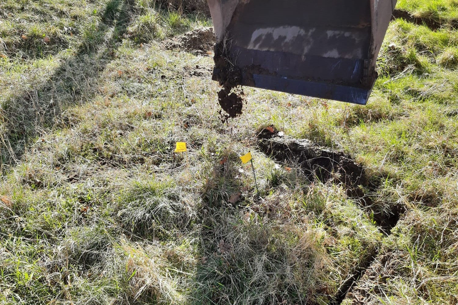 Het plantje wordt uitgegraven met een graafmachine
