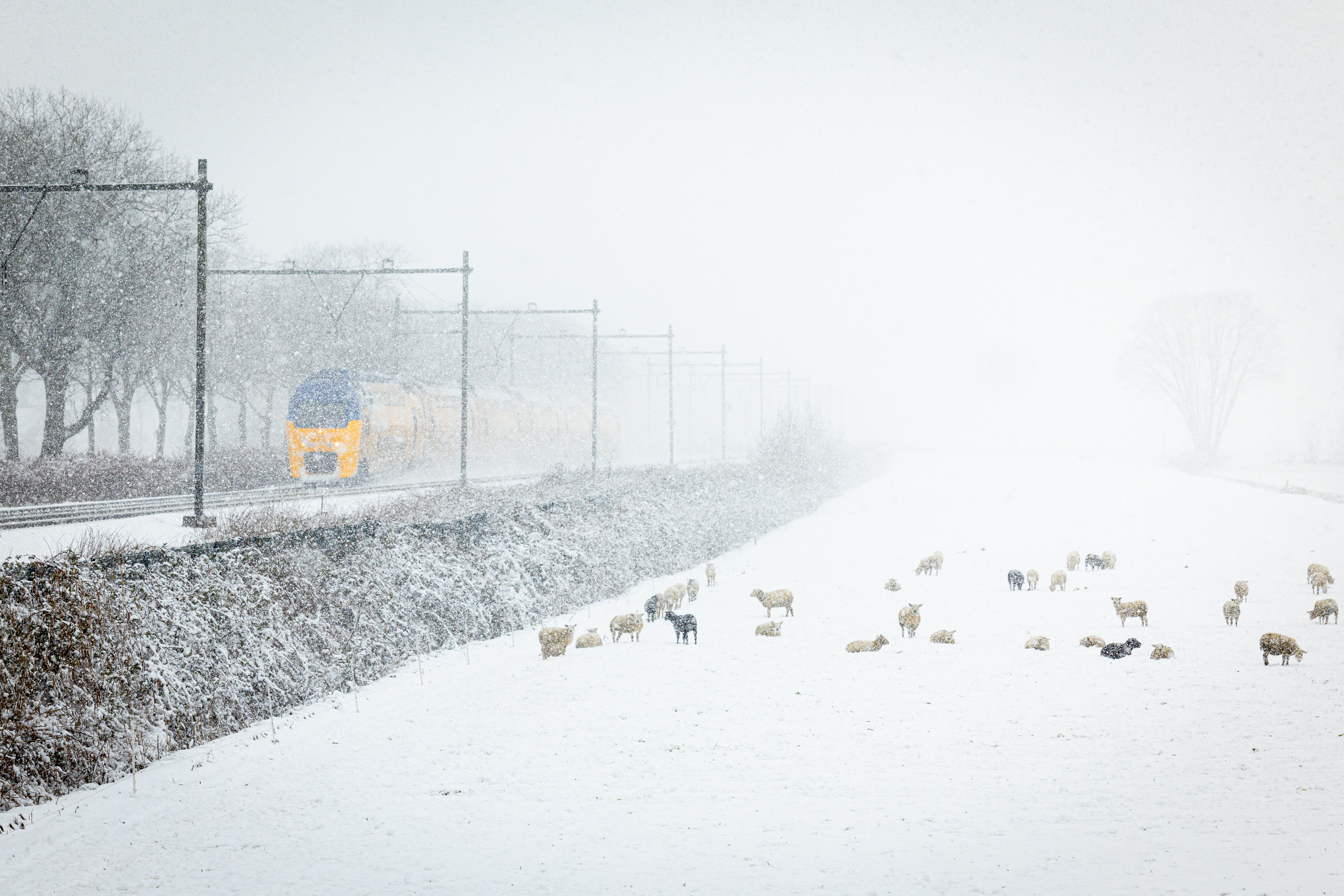 Winters weer