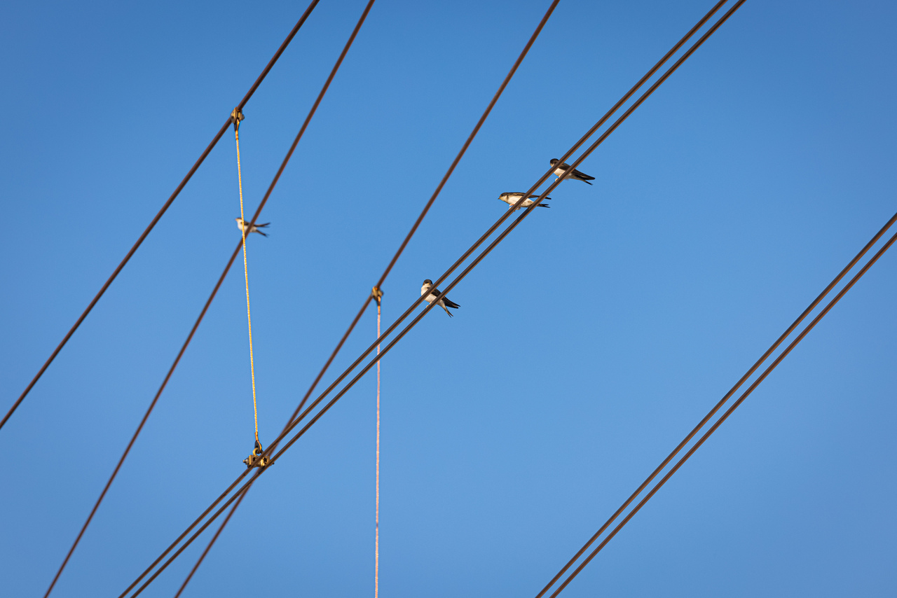 Geen treinen door weekendwerk Hilversum – Baarn - Soest