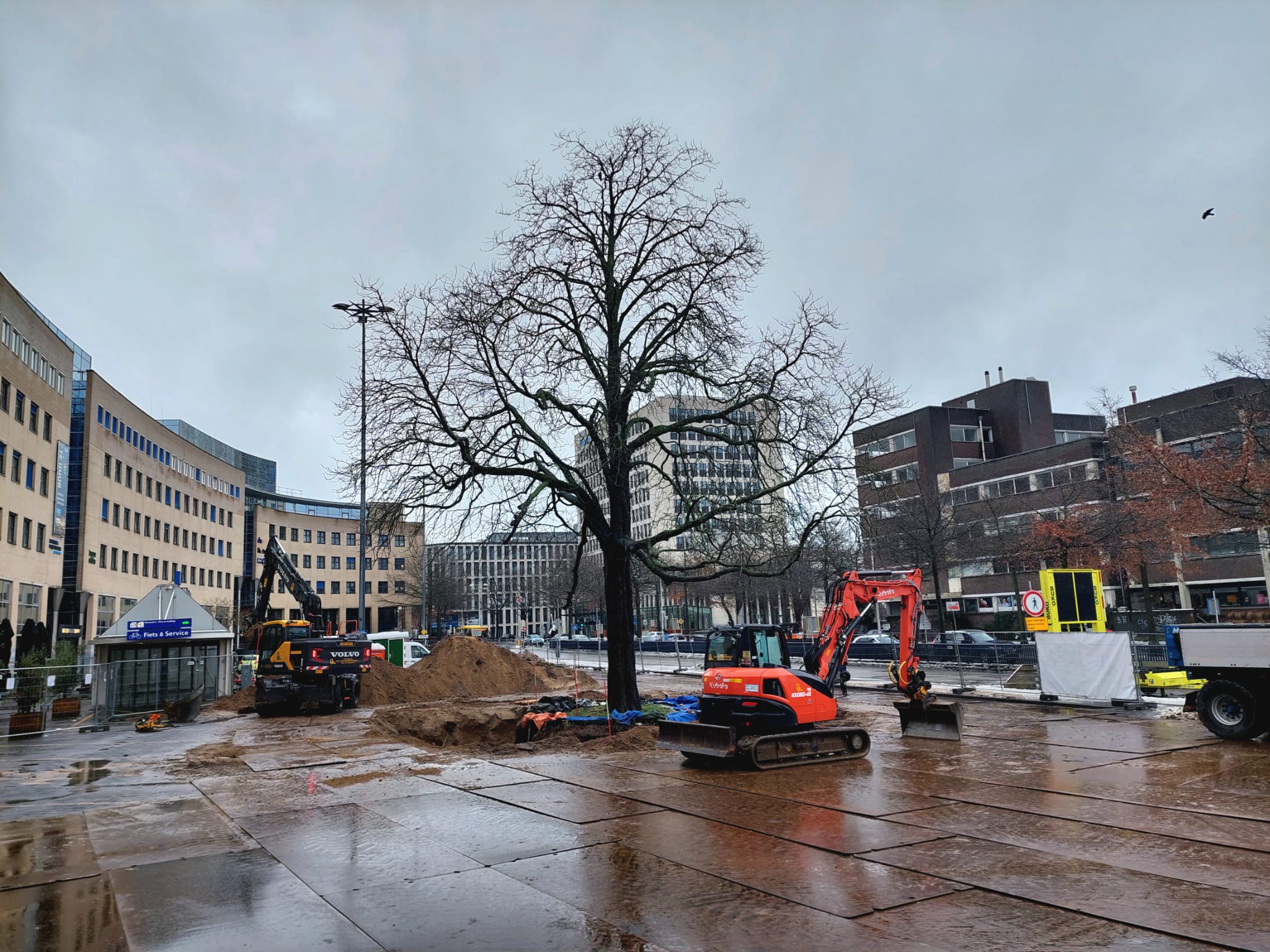 Kans op winterweer en overvliegende kastanjebomen in Amersfoort