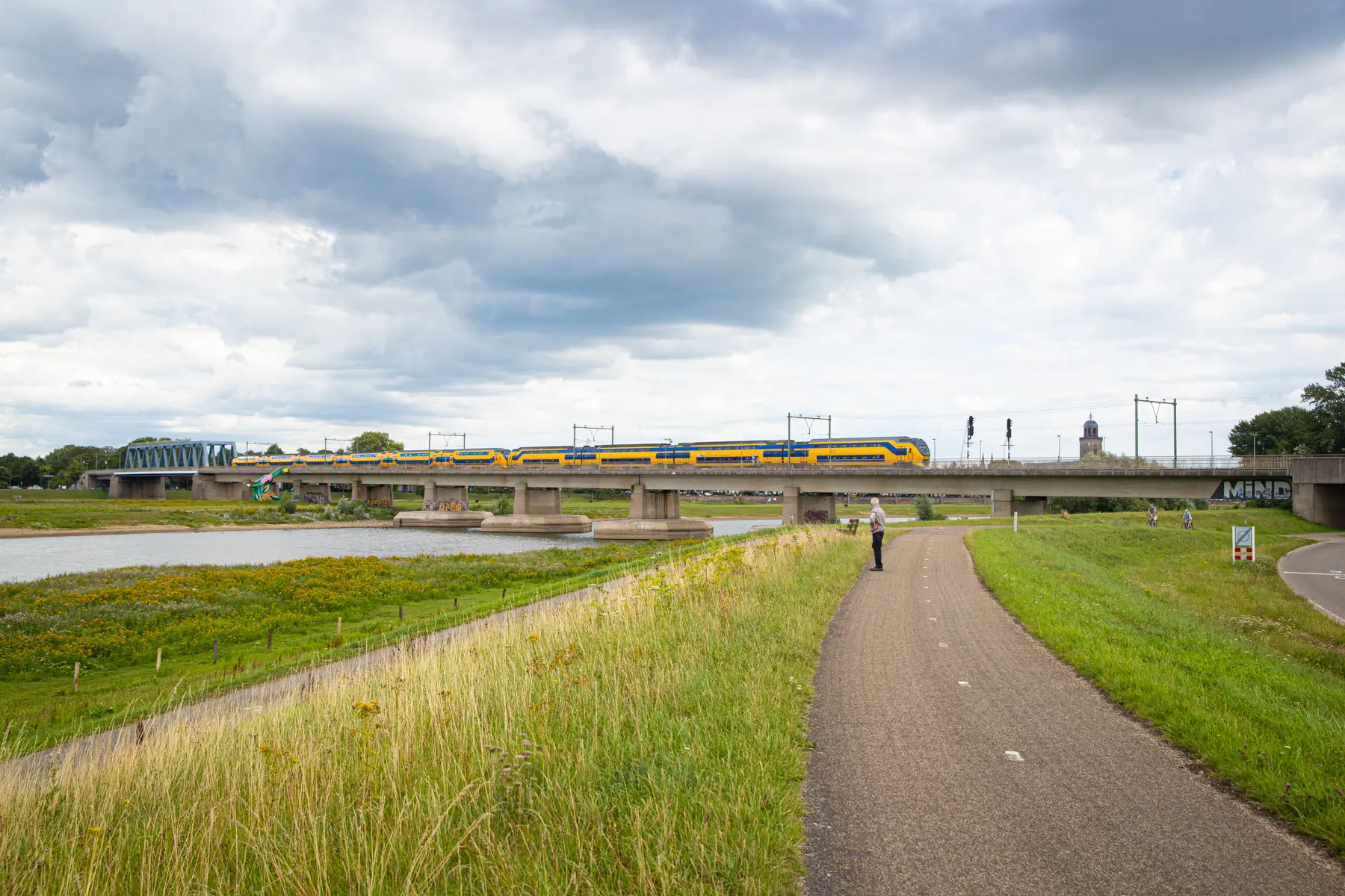 Trein in Nederlands landschap