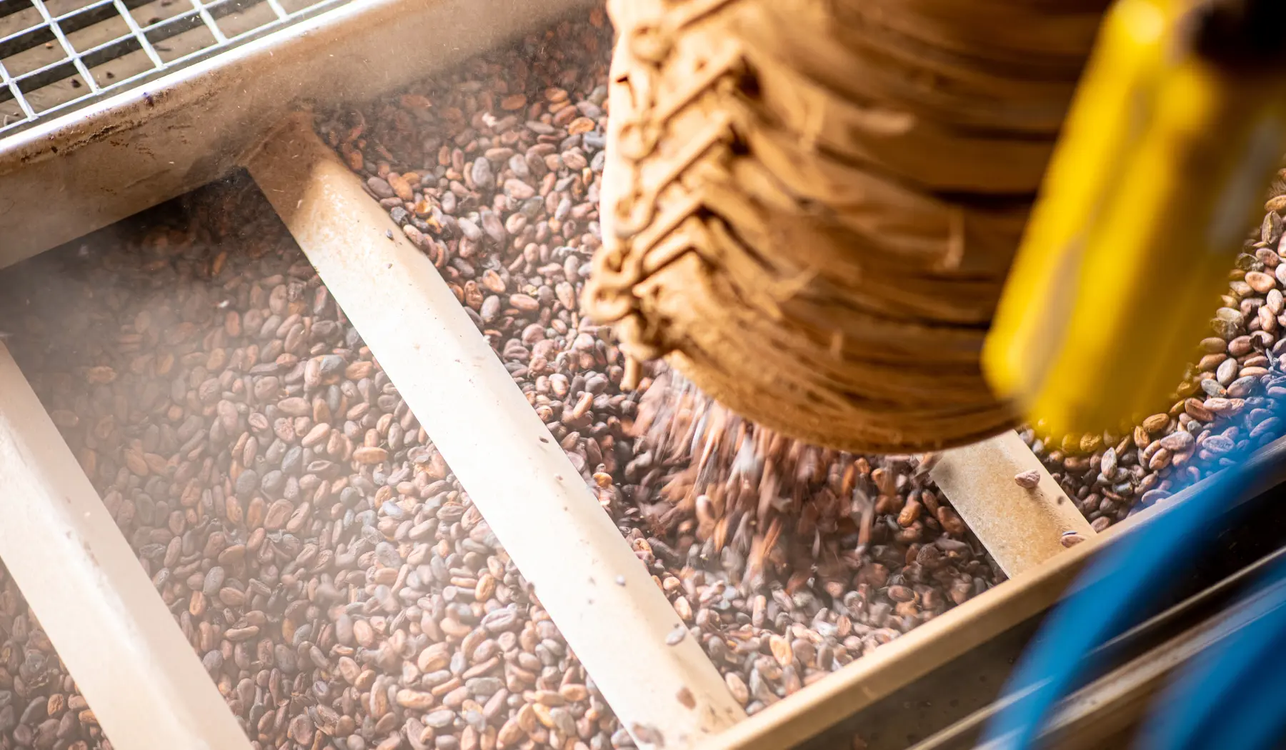 De verlader zorgt ervoor dat de cacaobonen via een slang in de wagons terechtkomen