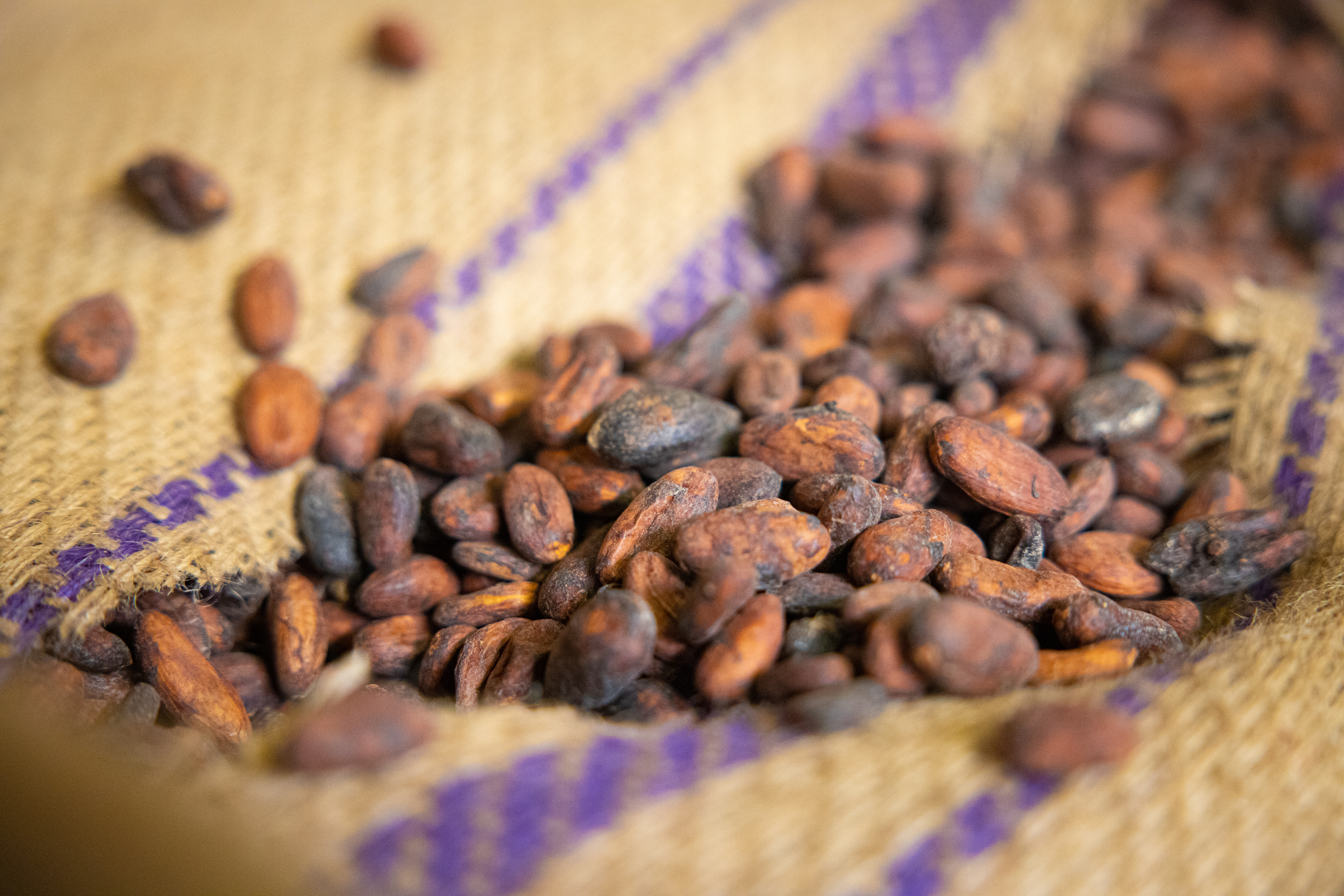 Het grote voordeel van spoorgoederenvervoer is de lagere CO2-uitstoot