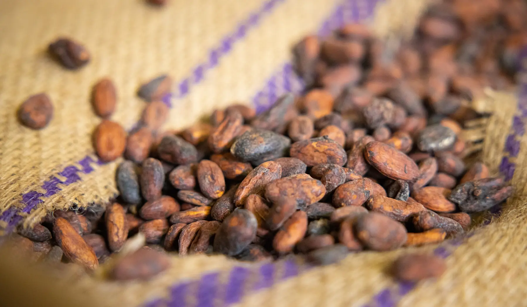 Het grote voordeel van spoorgoederenvervoer is de lagere CO2-uitstoot