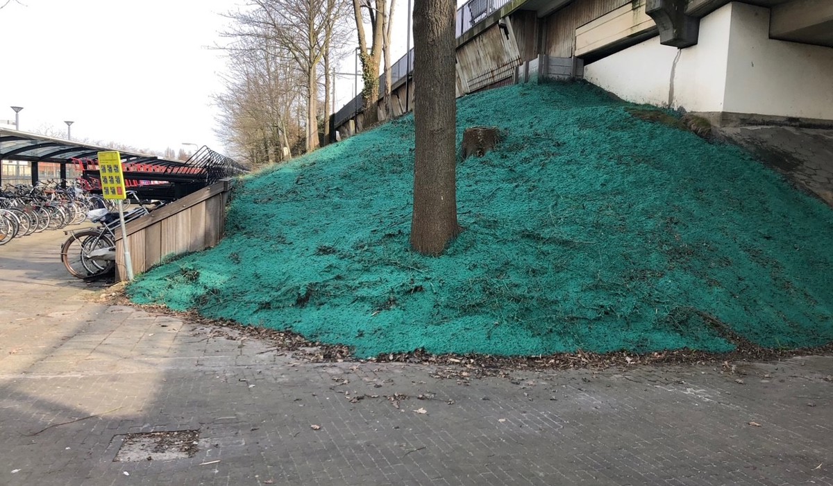 Talud ingezaaid met hydroseeding