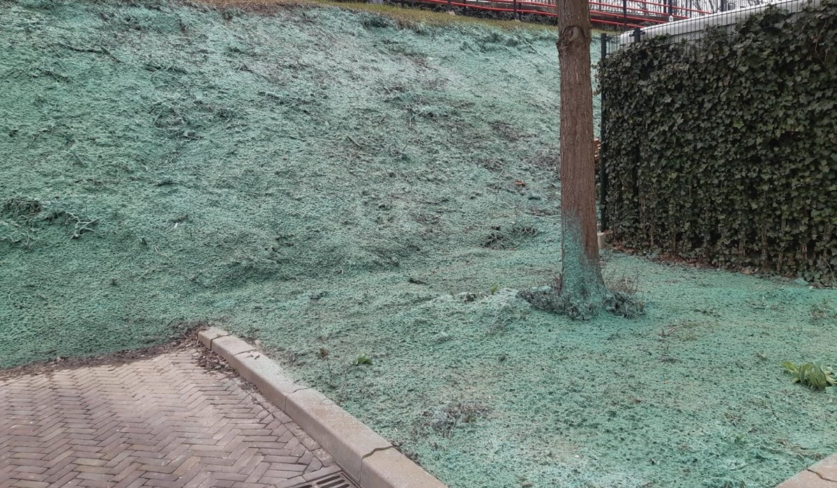 Hydroseeding bedekt de grond met een groen laagje