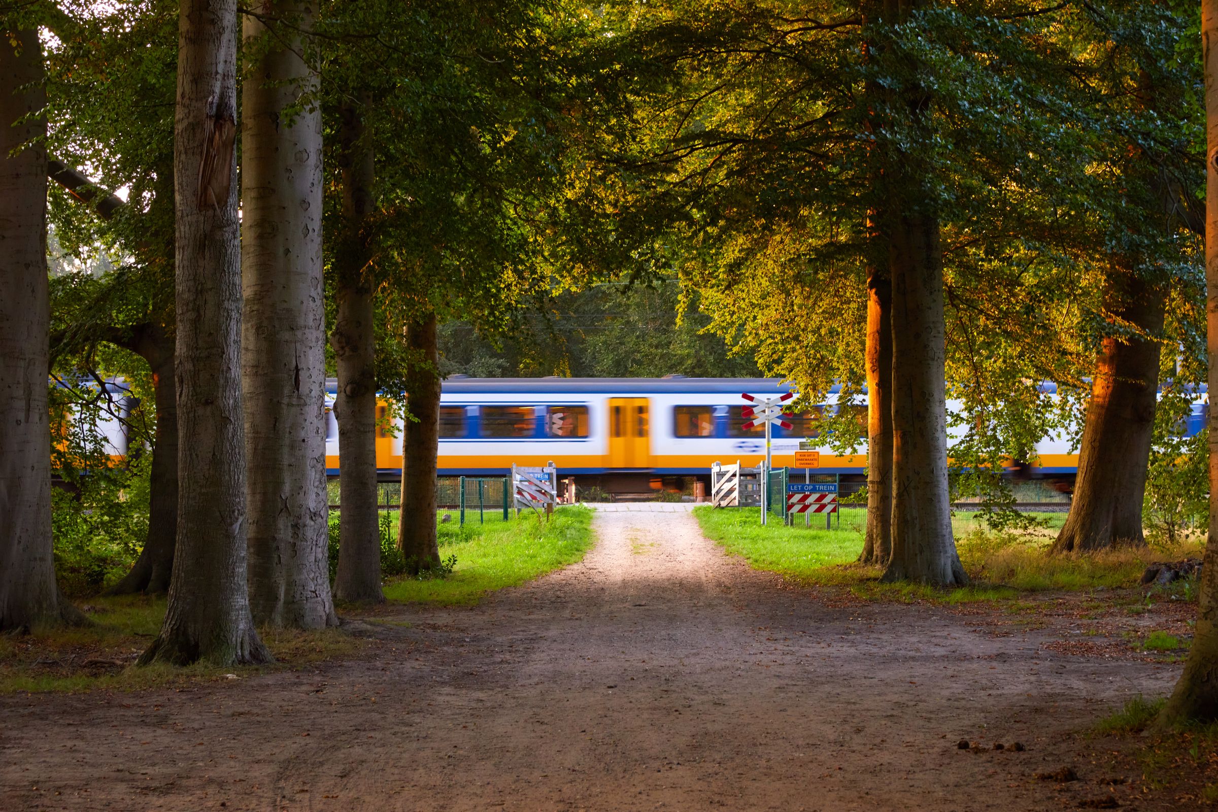 Trein bij een overweg in de herfst