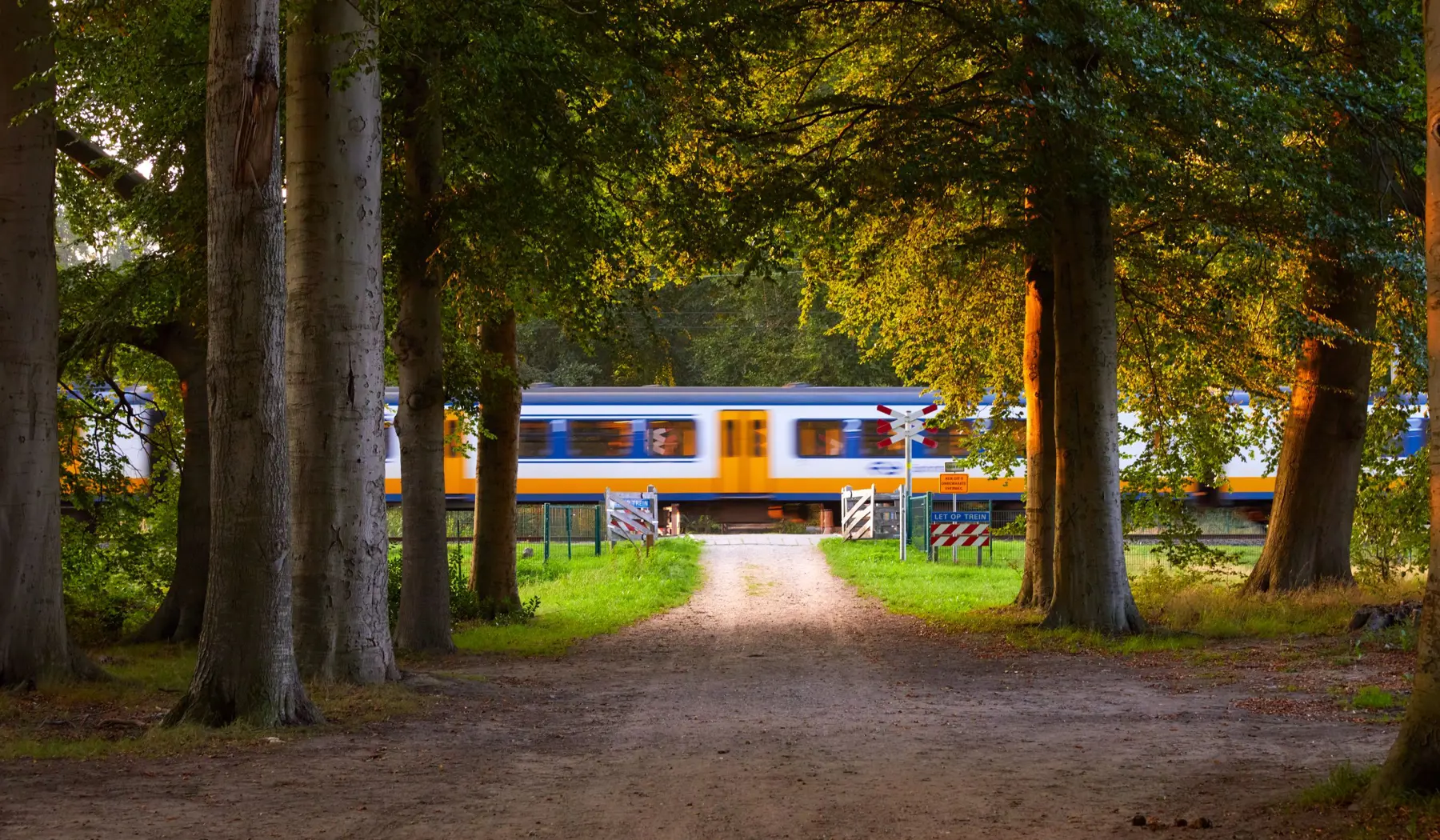 Trein bij een overweg in de herfst