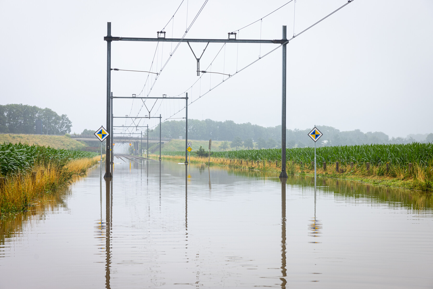 Klimaatadaptatie