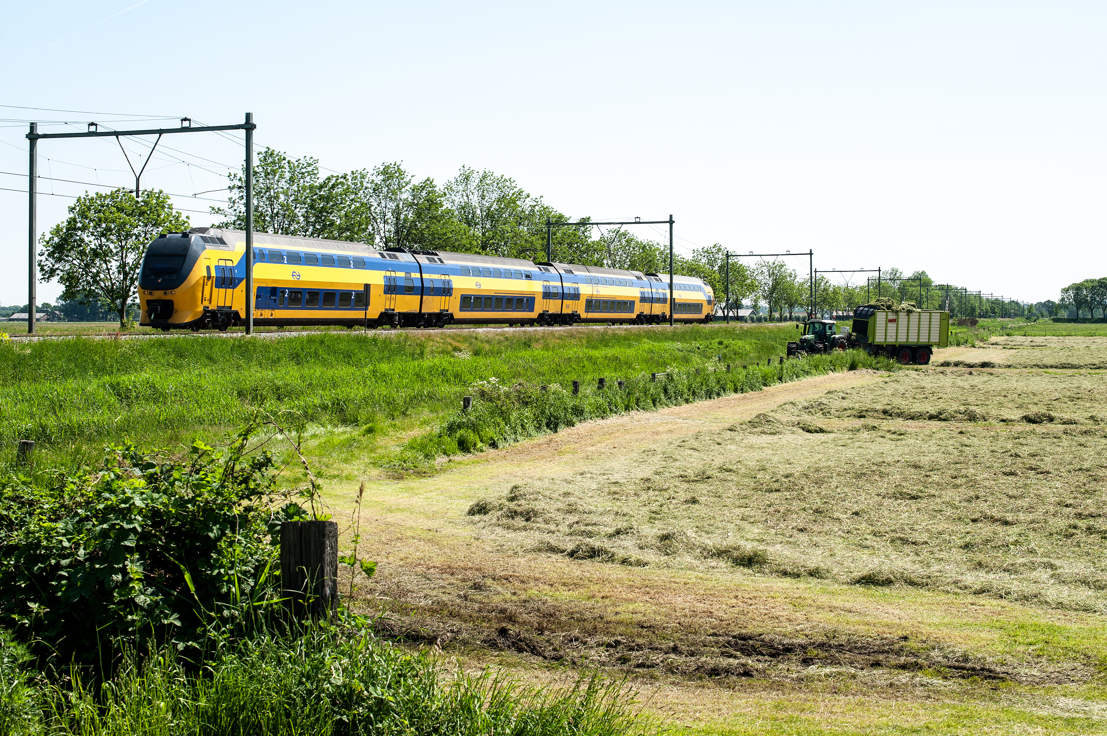 Onderzoek