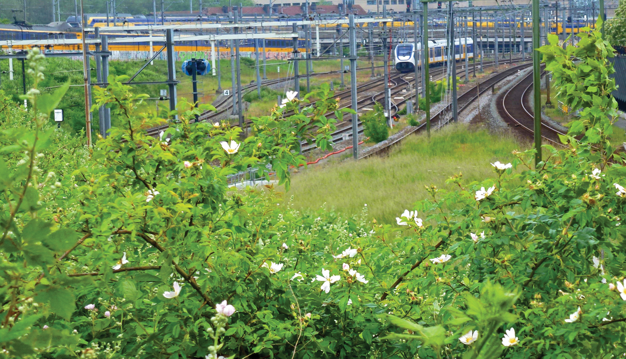 Spoorwegwet