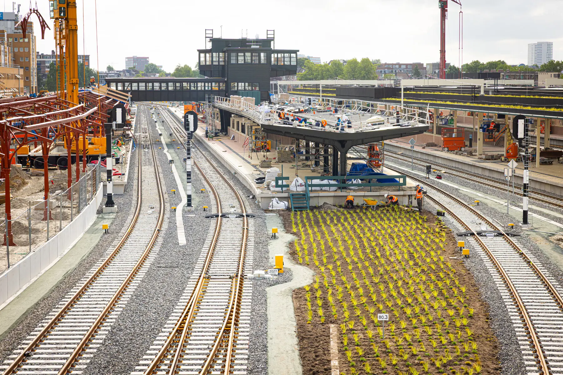Nieuwe beplanting tussen de sporen in Groningen