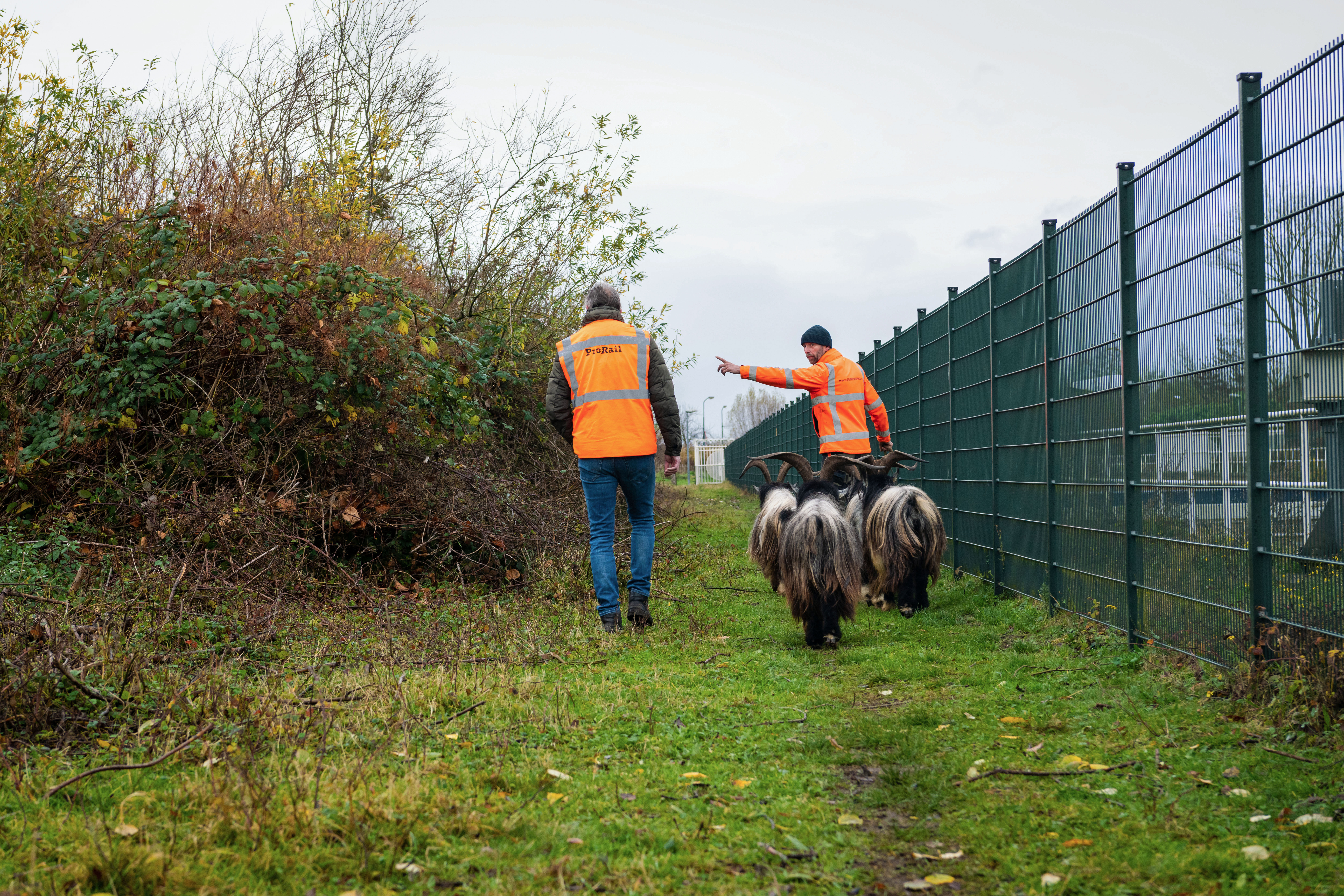 Er is al flink gegeten