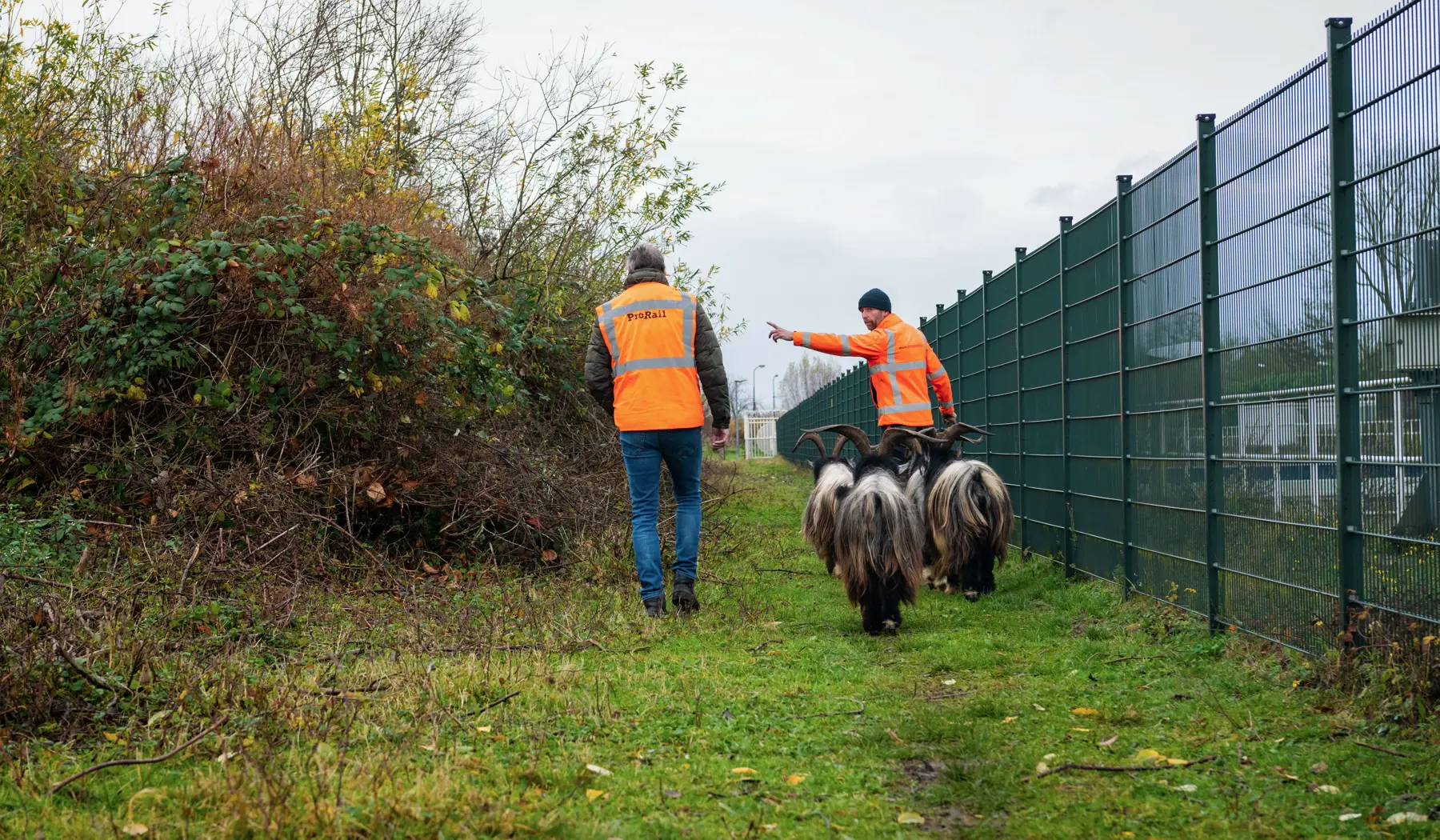 Er is al flink gegeten