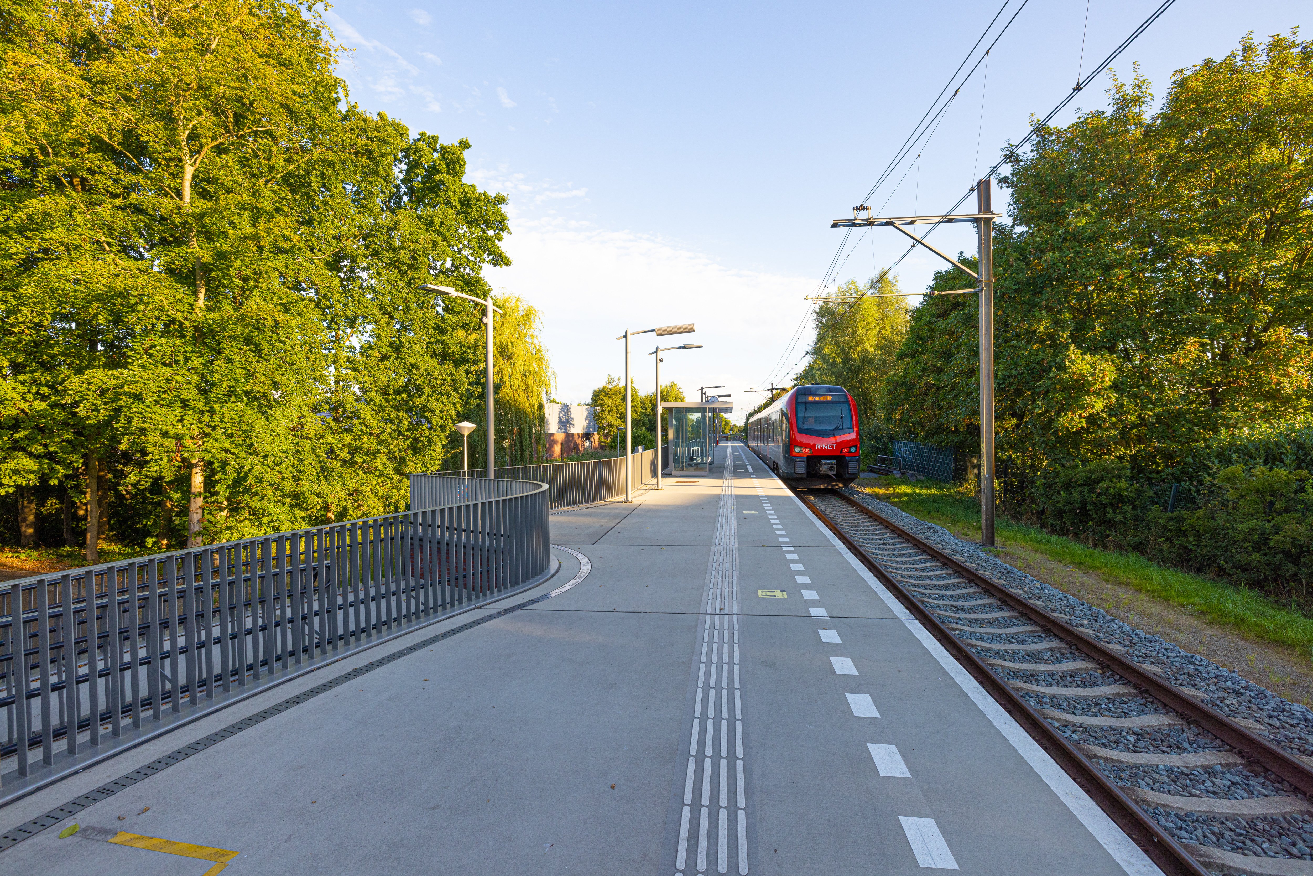 10. Boskoop Snijdelwijk
