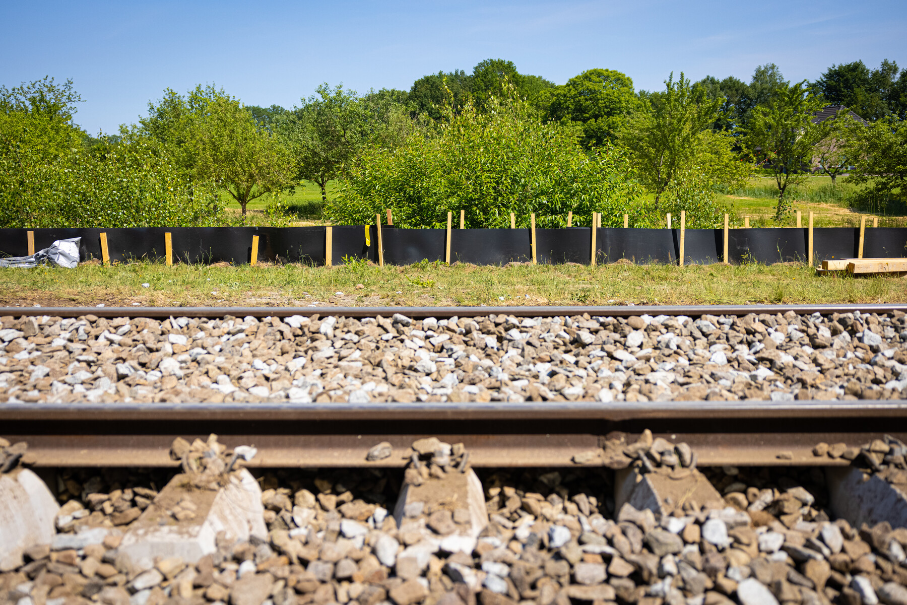 Vooraf namen we maatregelen om de levendbarende hagedis en de hazelworm te beschermen, zoals hier in Laren-Almen, met een faunascherm: in totaal is er op drie locaties 2500 meter scherm geplaatst