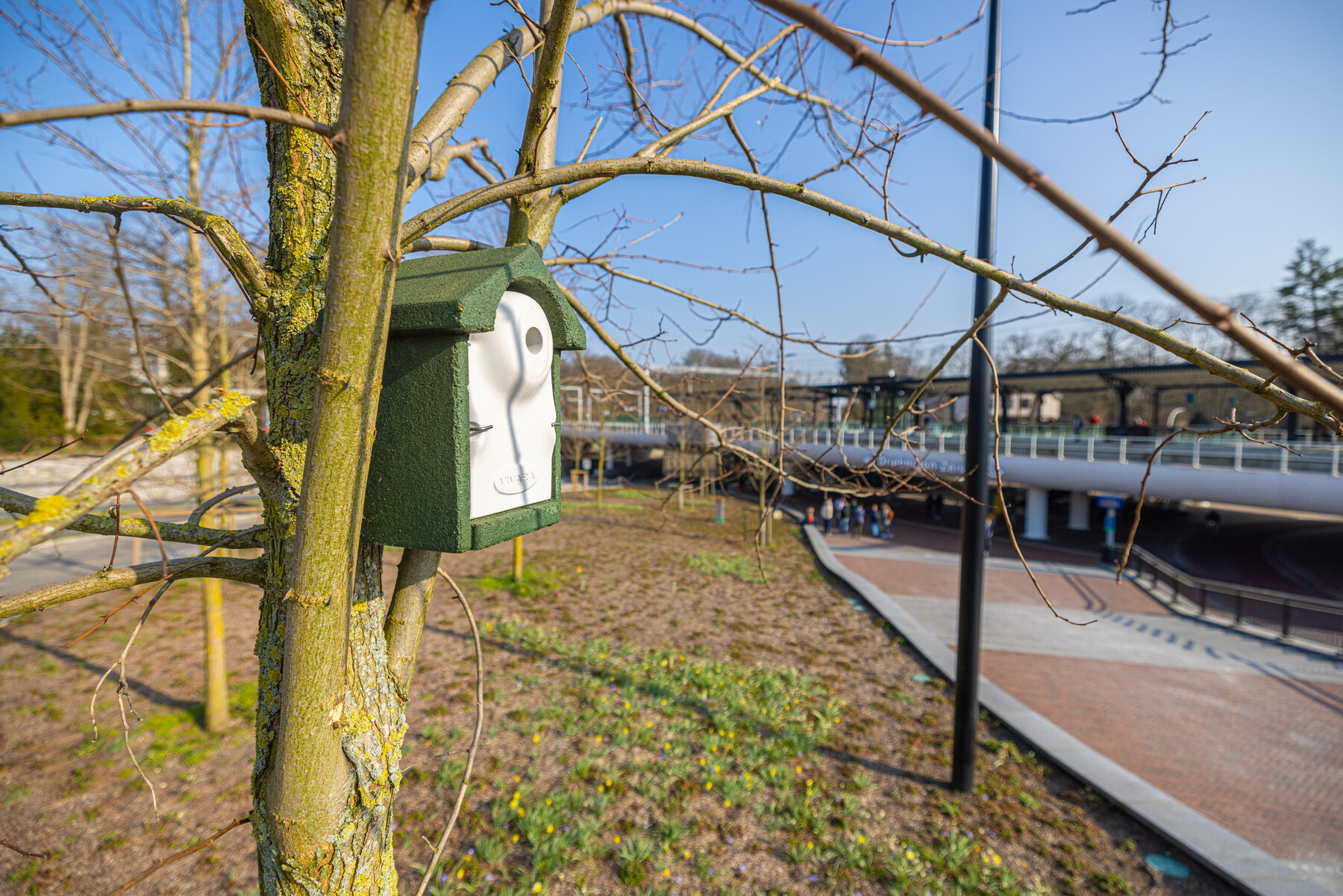 Insectenhotels en nestkasten op stations voor meer biodiversiteit